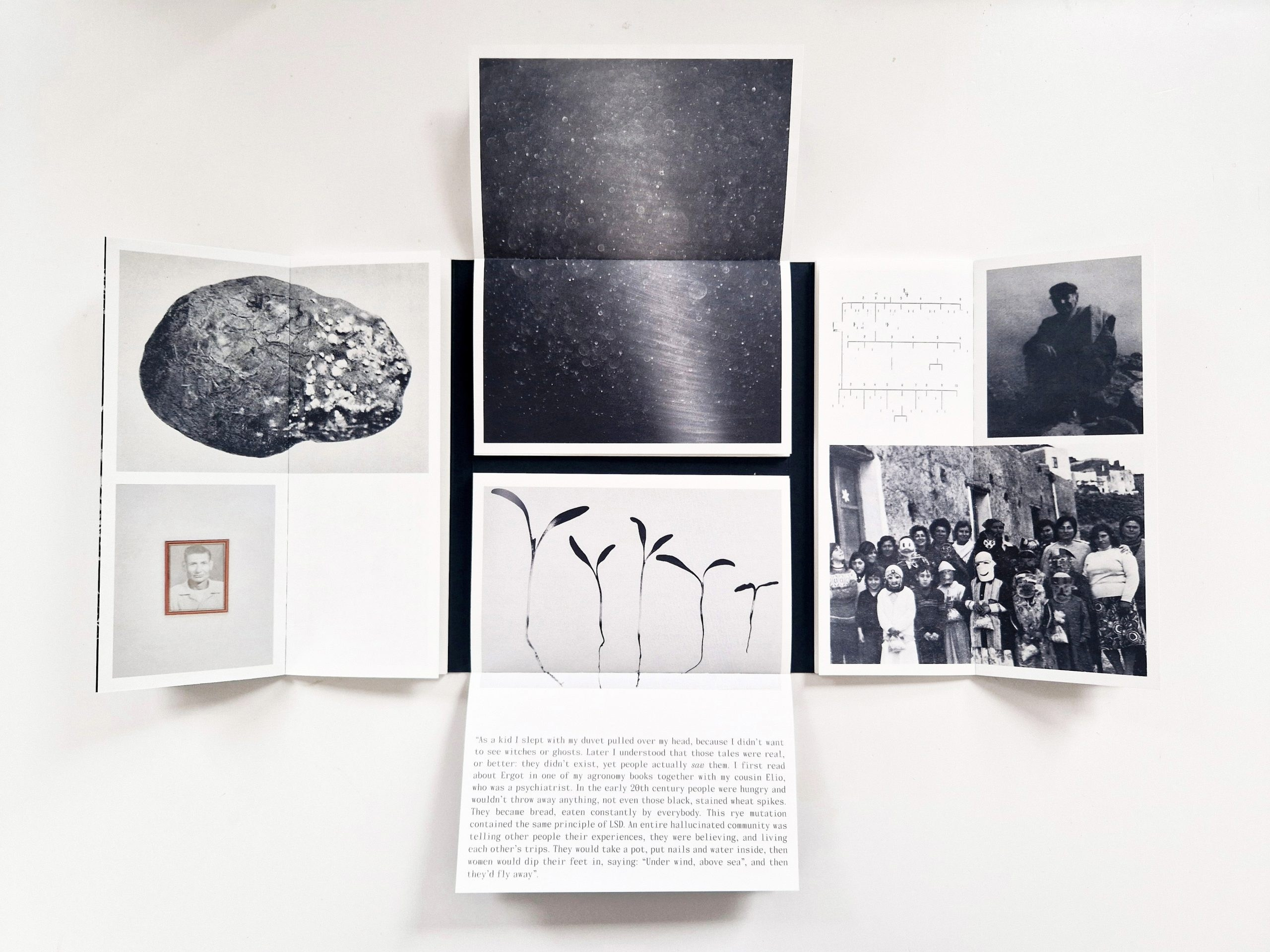 О книге «Thinking Like An Island» (Gabriele Chiapparini & Camilla Marrese). Private image