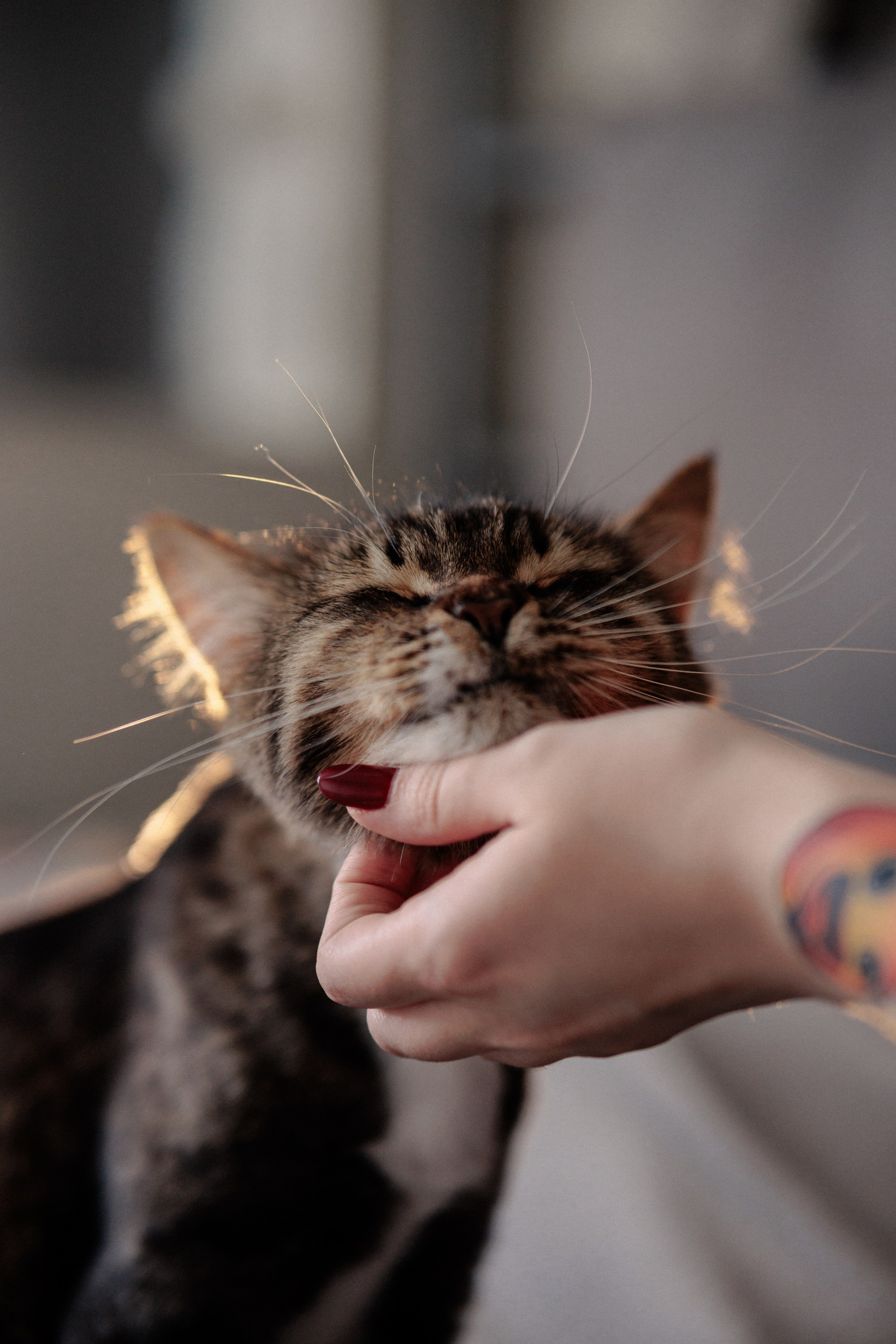 Ася и ее семья. Фотограф в Санкт-Петербурге Алёна Губинская