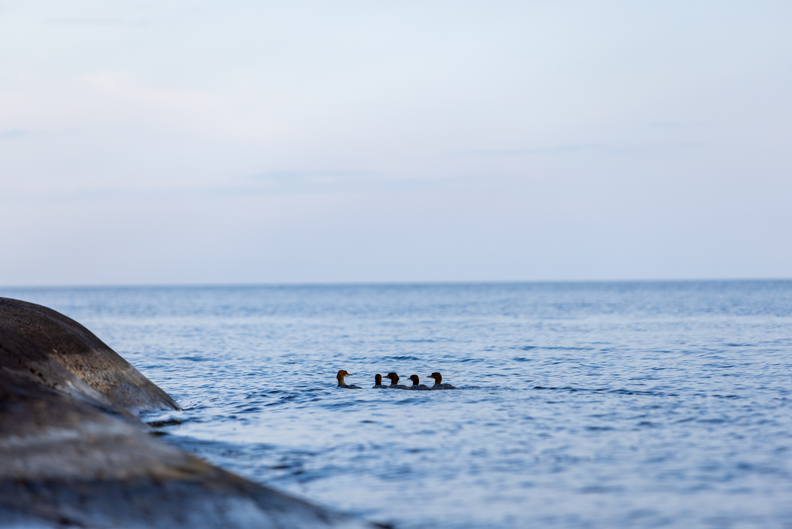 Ладога. Автомобильная фотография в Санкт-Петербурге