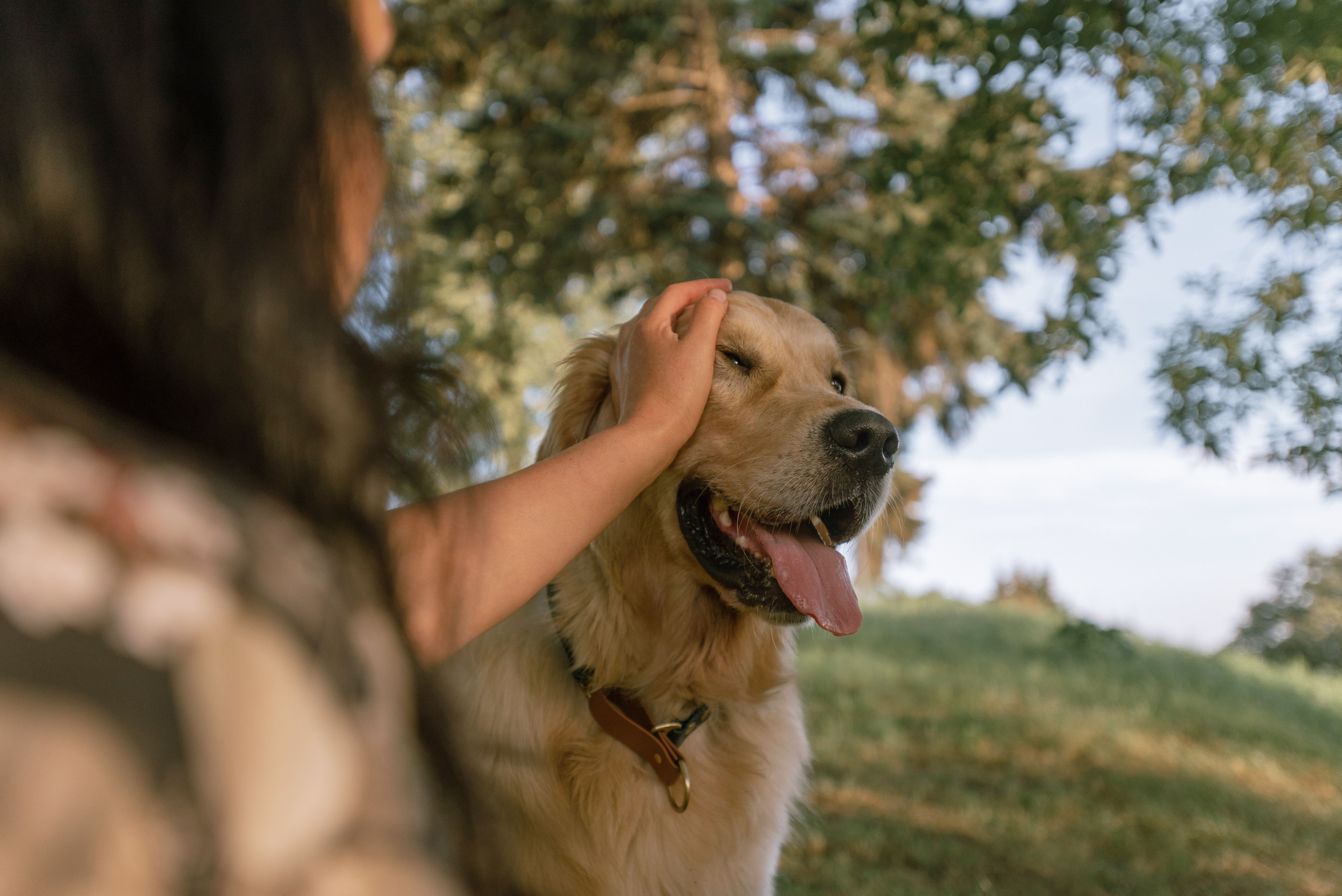 Светлана и Чарли в Нижнем Новгороде. Фотограф Анна Тюрина
