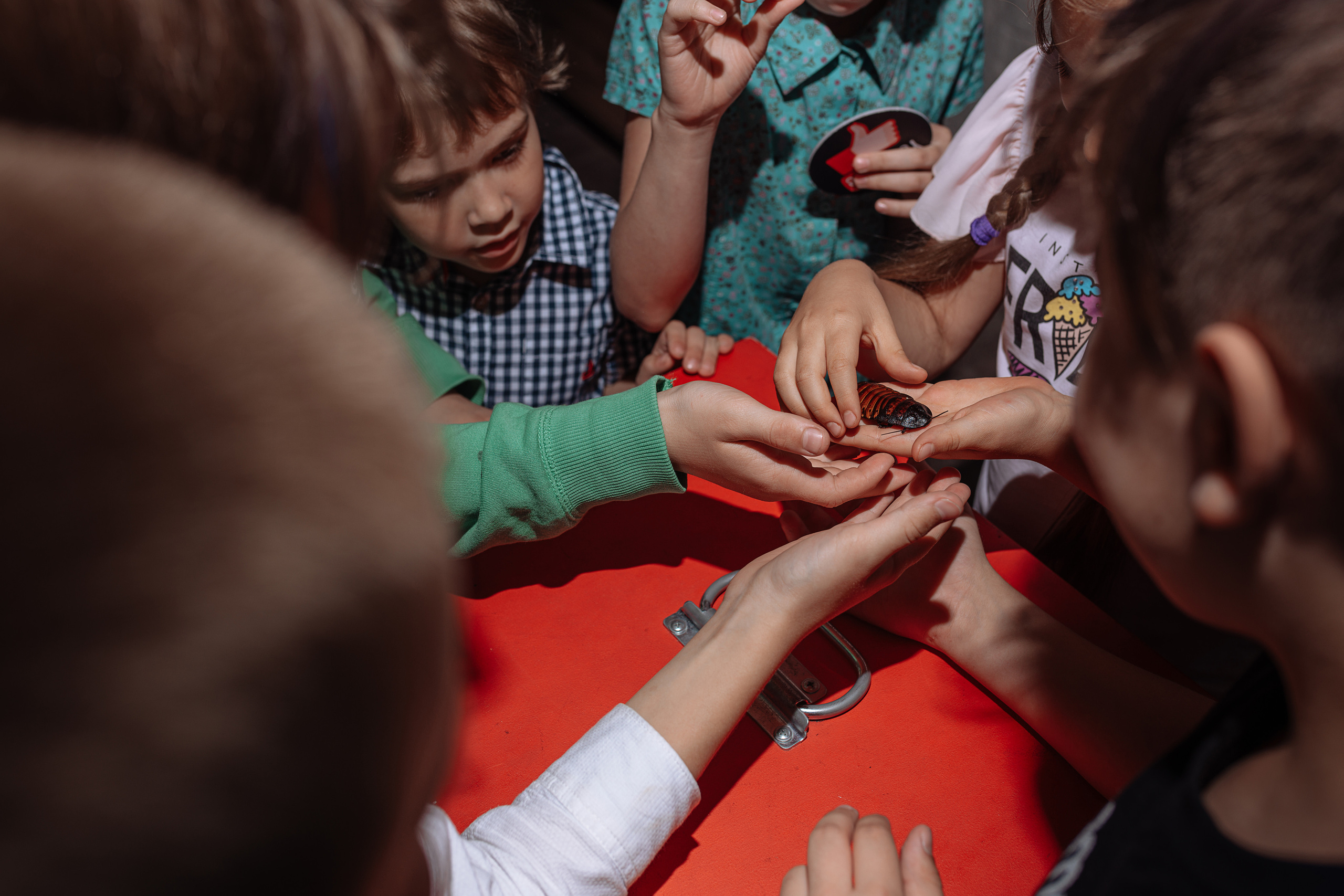 День рождения — Чердак 365. Свадебный фотограф Екатеринбург/Челябинск — Любовь Волохова