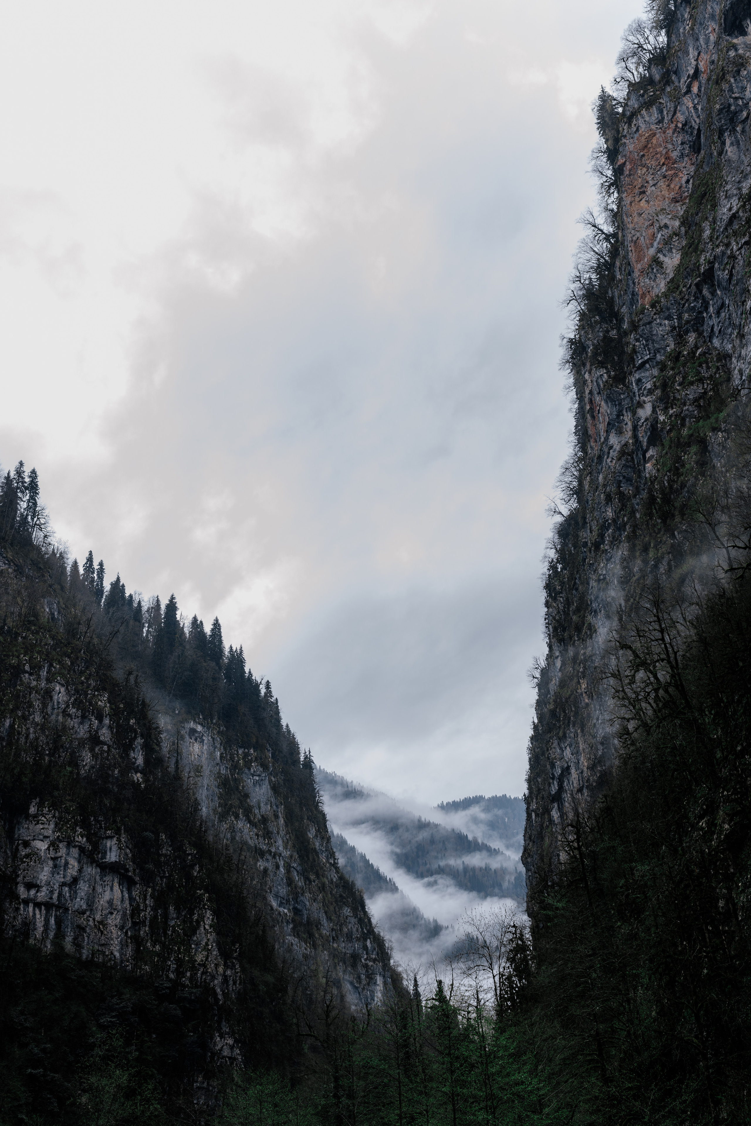 Абхазия, озеро Рица. Свадебный фотограф Екатеринбург/Челябинск — Любовь Волохова