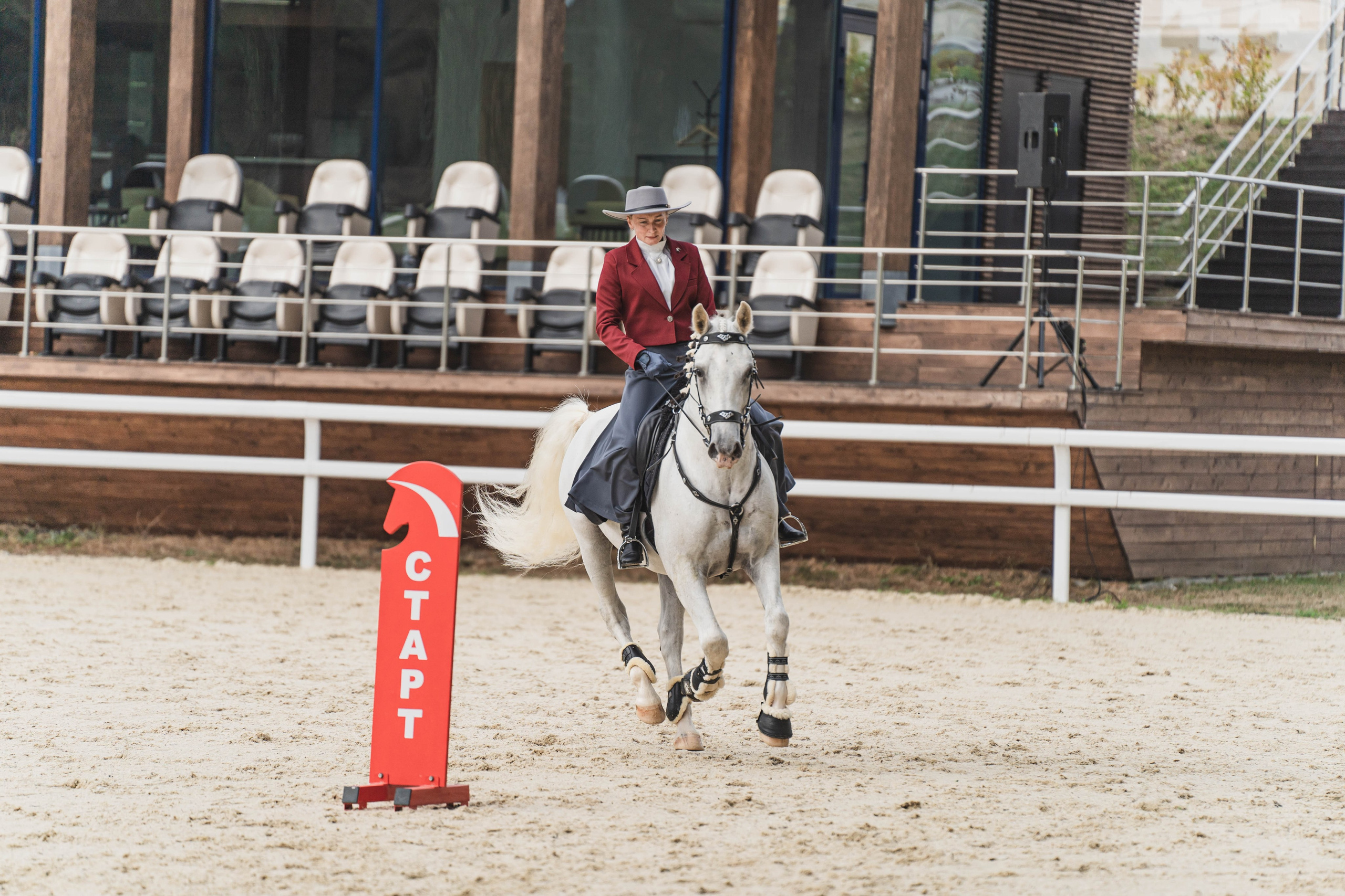 Мастер-класс по рабочей выездке. Фотограф в Москве Ленарская Дарья