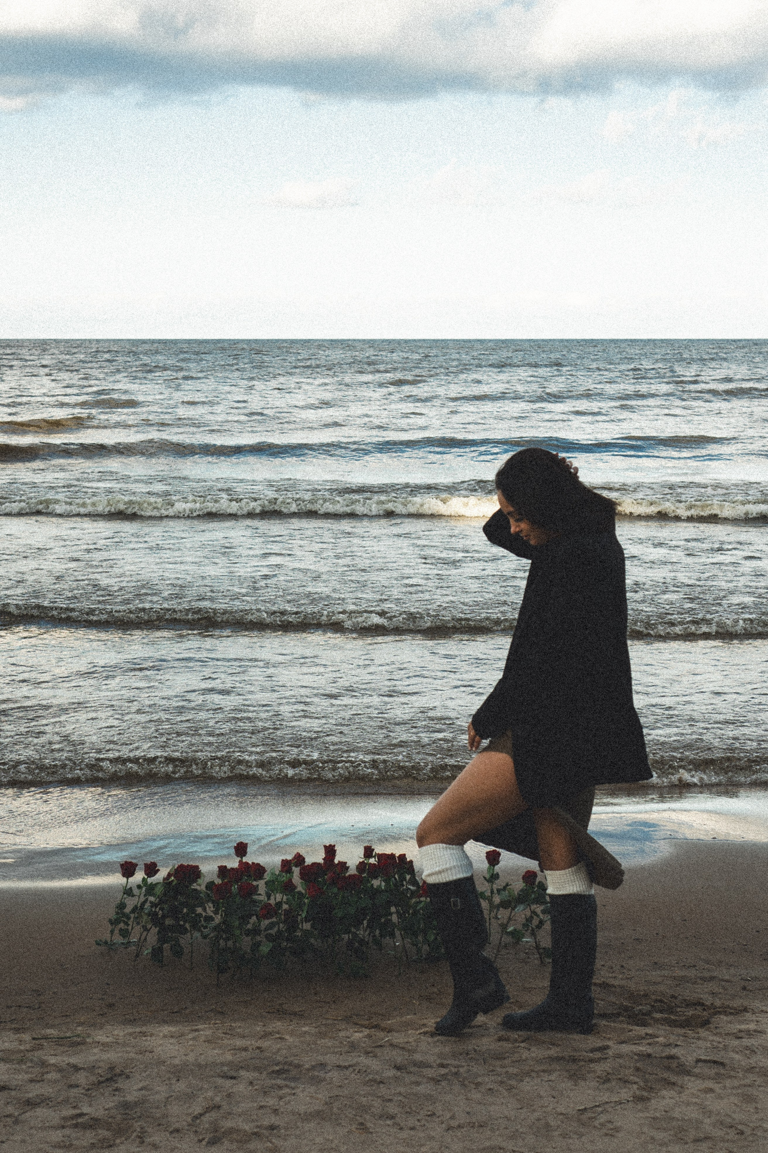 Розы. Профессиональный фотограф, Санкт-Петербург — Виктория Богомолова