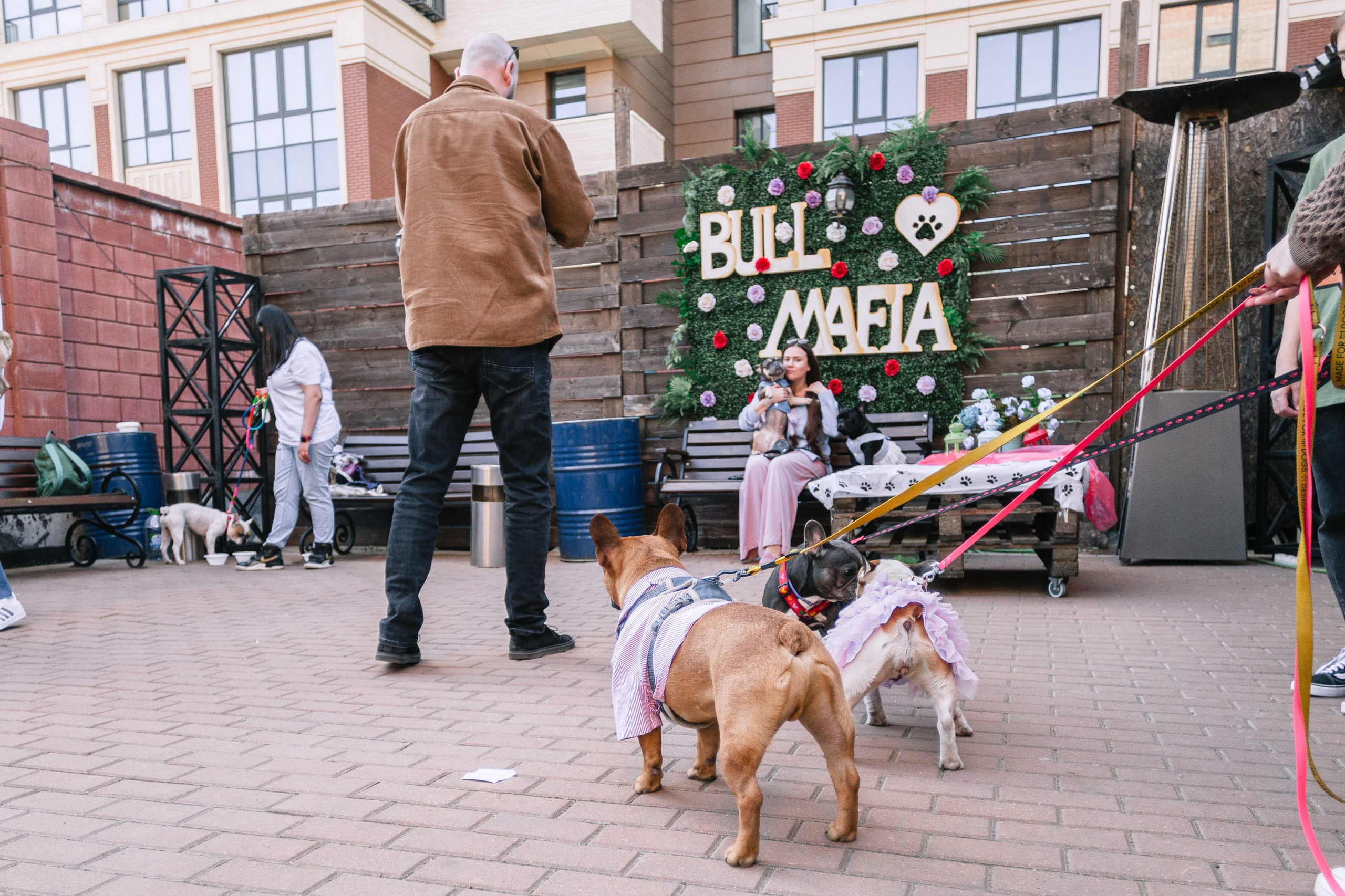 Бульбалл 23.04.2023. Фотограф-анималист Татьяна Степанова