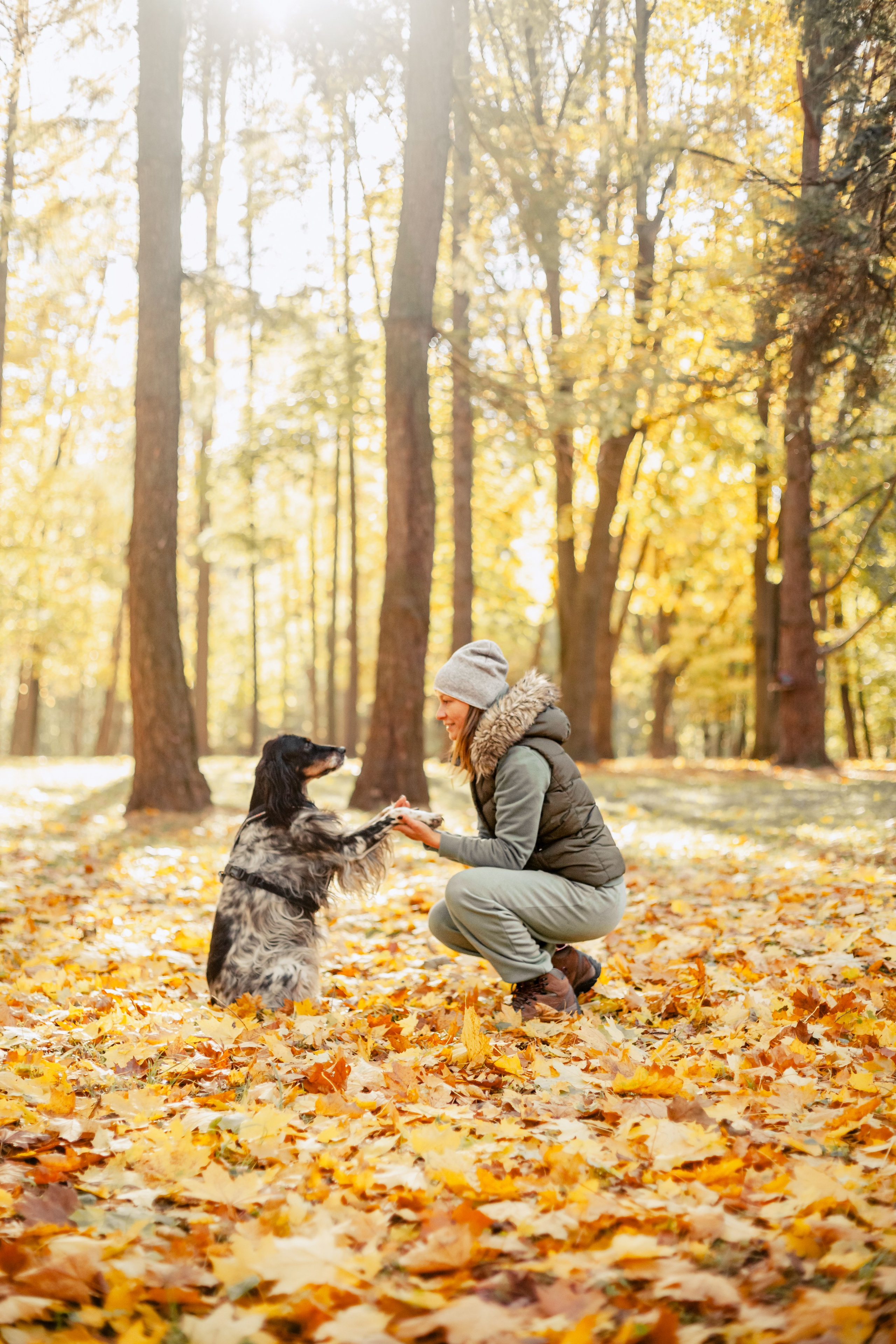 Света, Хайди, Богдана. Фотограф-анималист Татьяна Степанова
