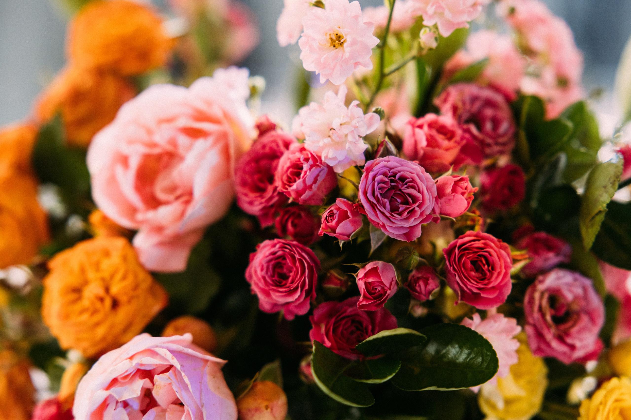 M&K. Свадебный фотограф Краснодар