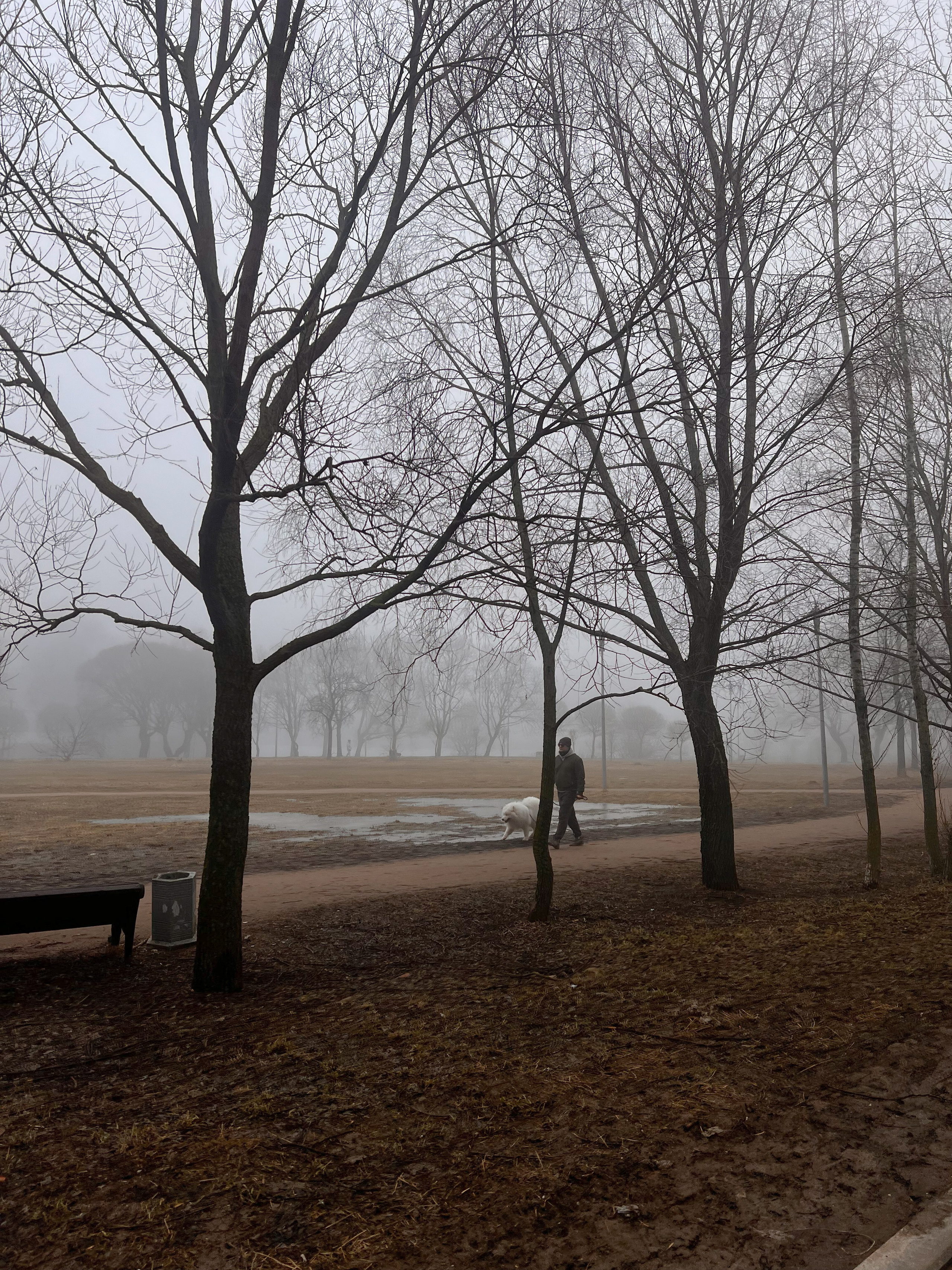 Все пресеты LR | Эффект плёнки. Кинематографичный фотограф, видеограф Лина Плешакова, Санкт-Петербург