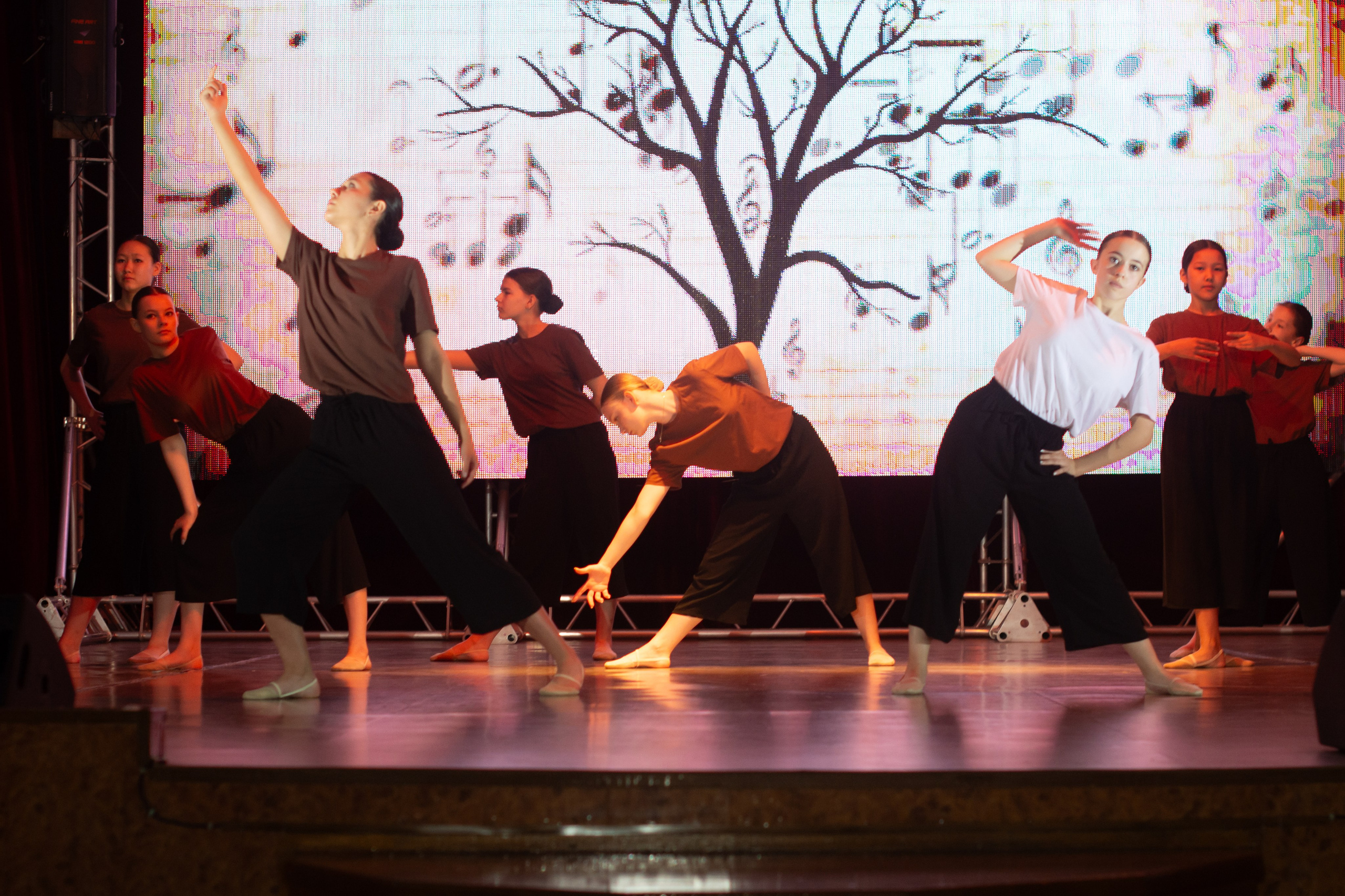 Отчетное выступление NEXT. Evgeniy Roslov