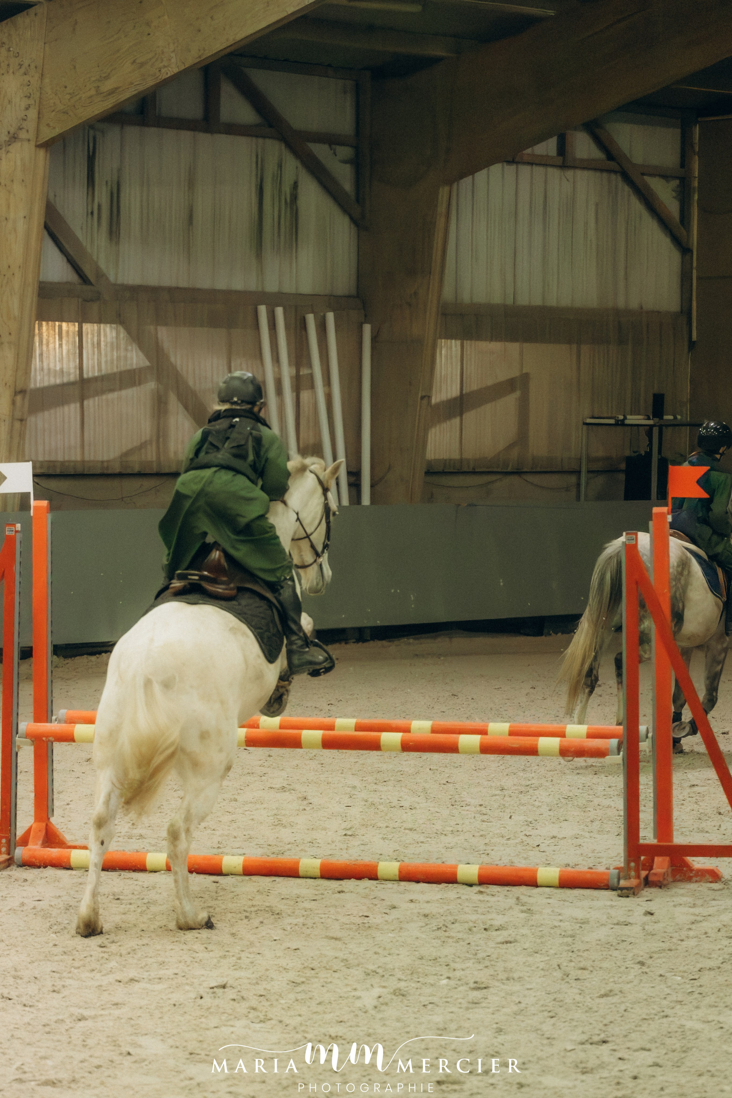 Evènements. Photographe des familles et enfants à Nantes et alentours
