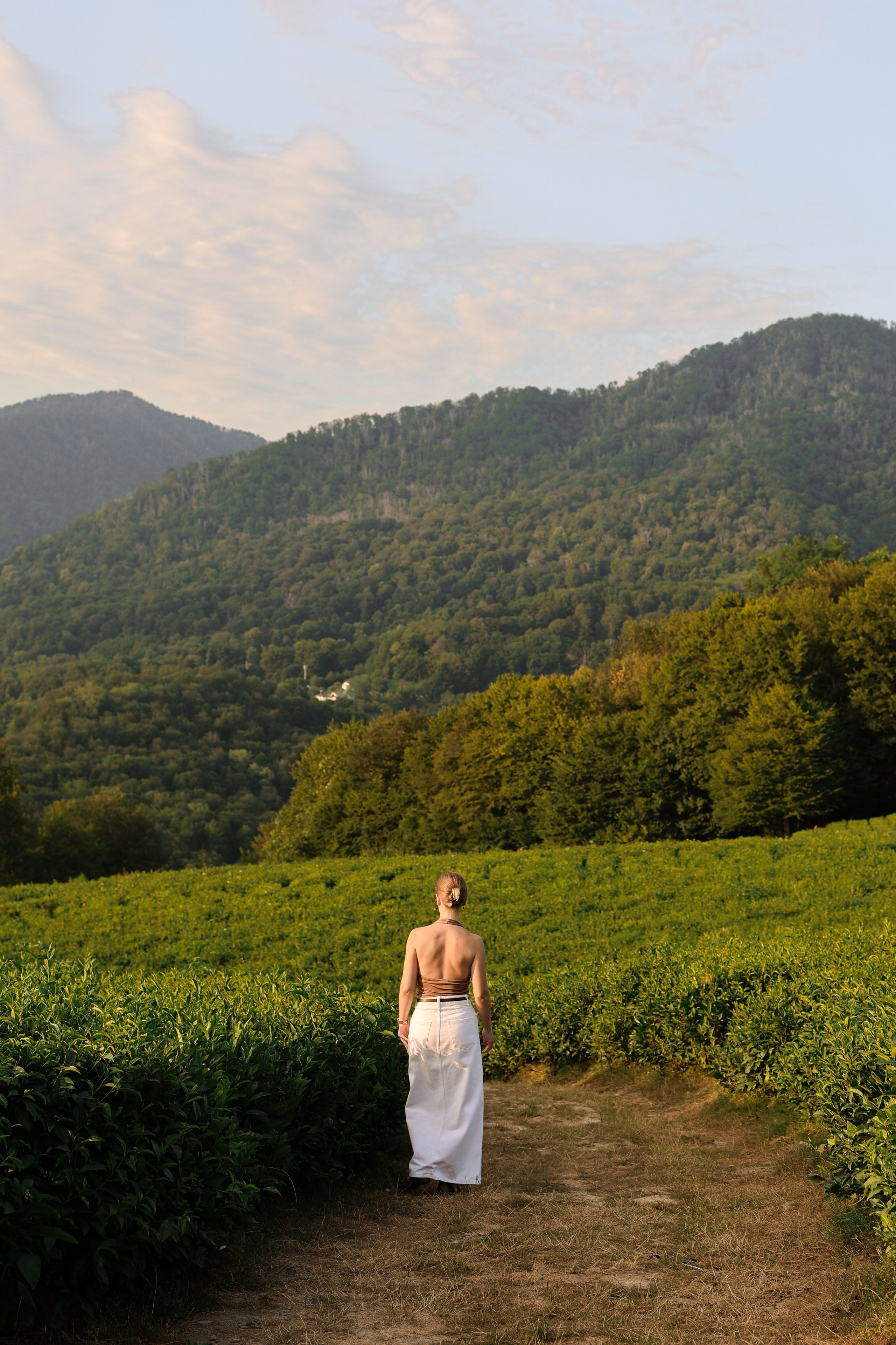 ЧАЙНЫЕ ПЛАНТАЦИИ. Фотограф Москва Оля Олбимак