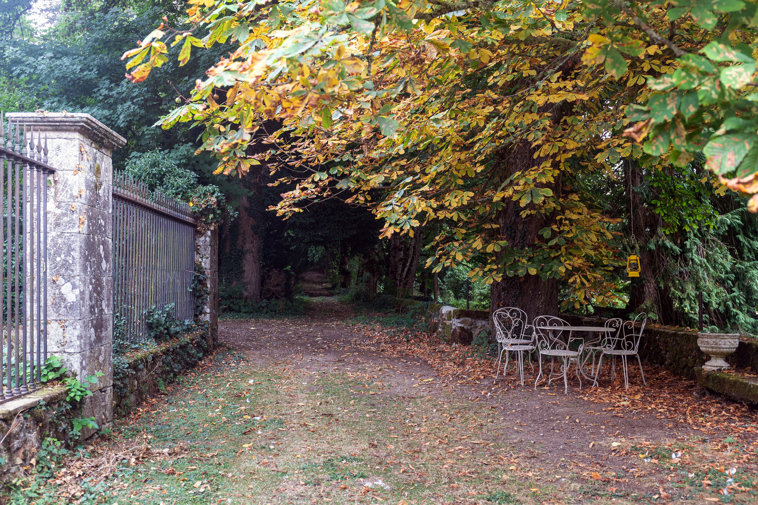 Château La Salvetat sur Agout. Полина Носкова интерьерный фотограф