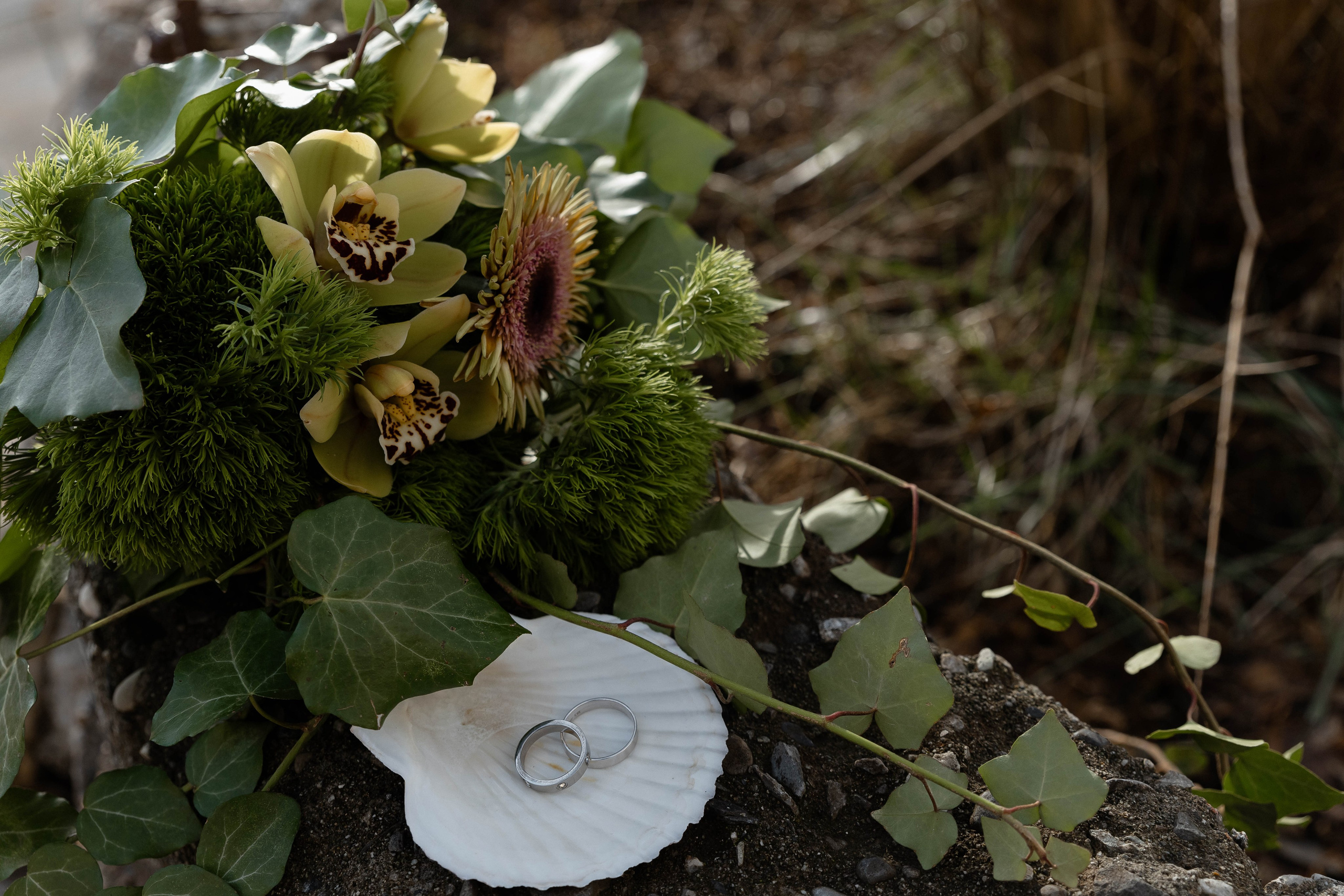 I T A L I A. Главная