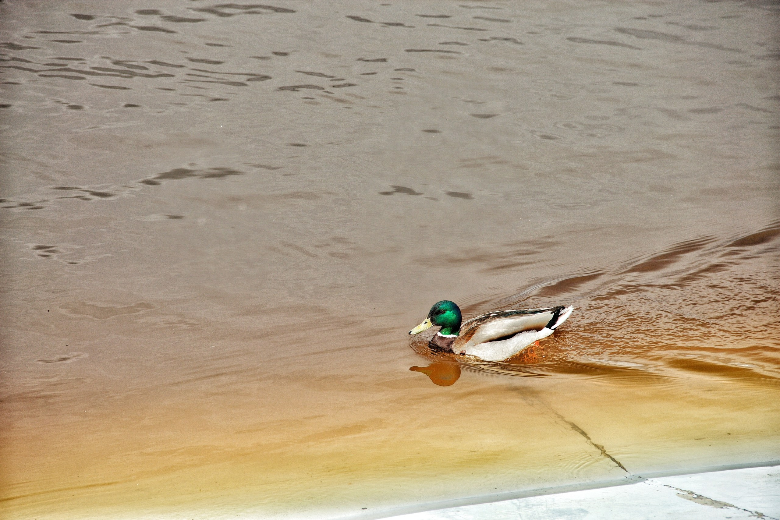Report: в городе. Фотограф в Перми Любовь Огородова | Авторские туры