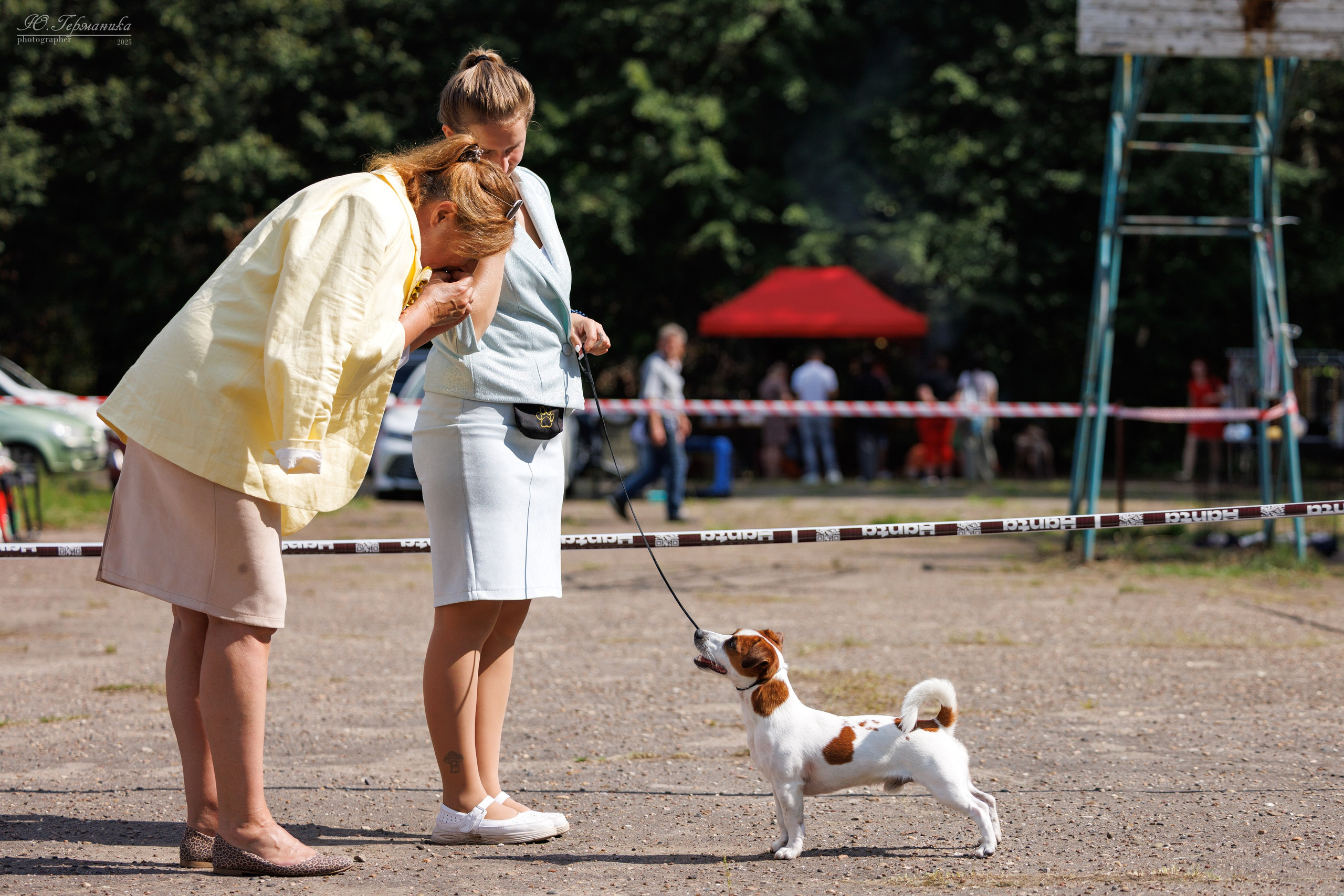 Тверь 10.08.2025. Фотограф-анималист Юлия Германика