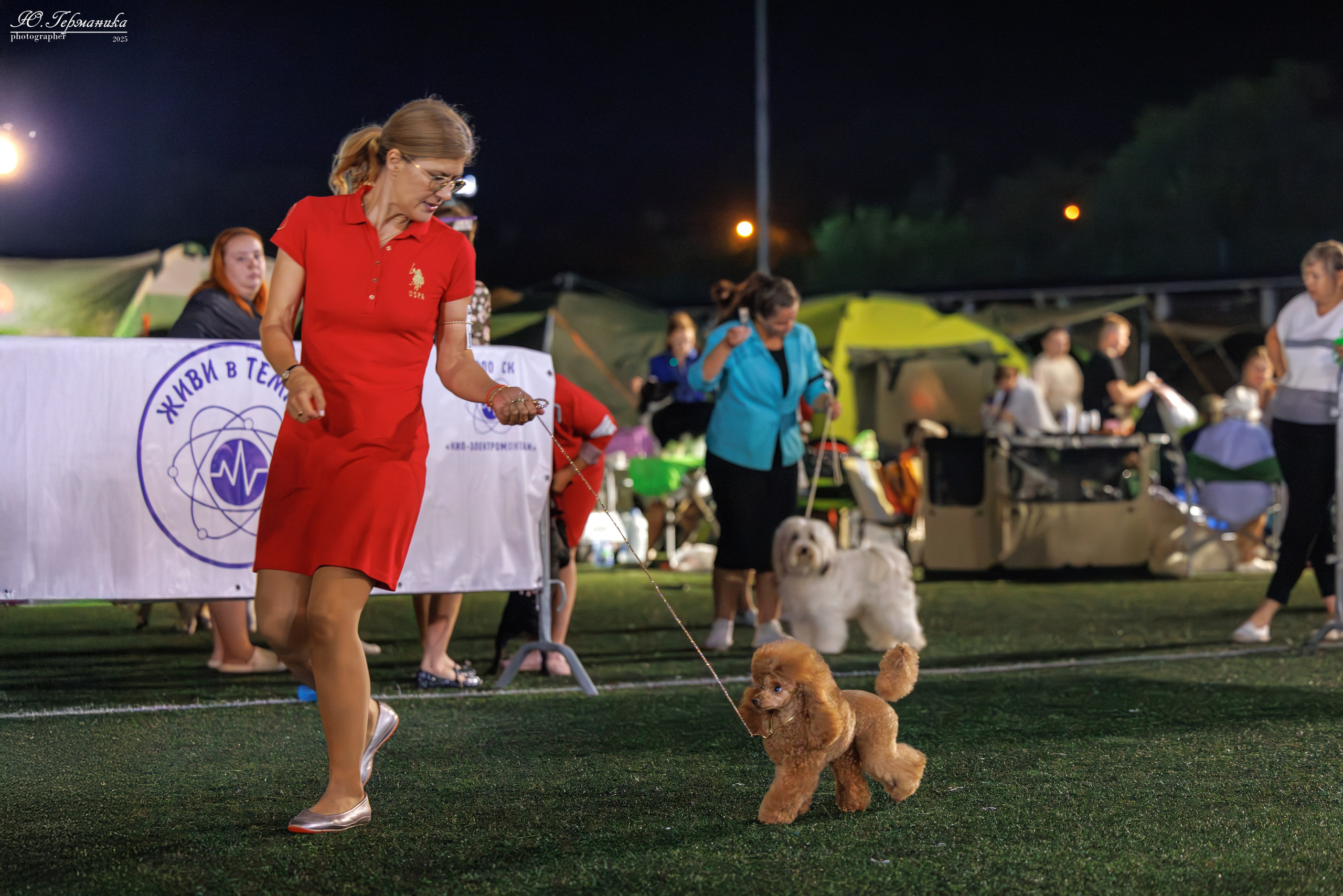 Калининград 25-27.07 Волгоград 1-3.08 2025. Фотограф-анималист Юлия Германика