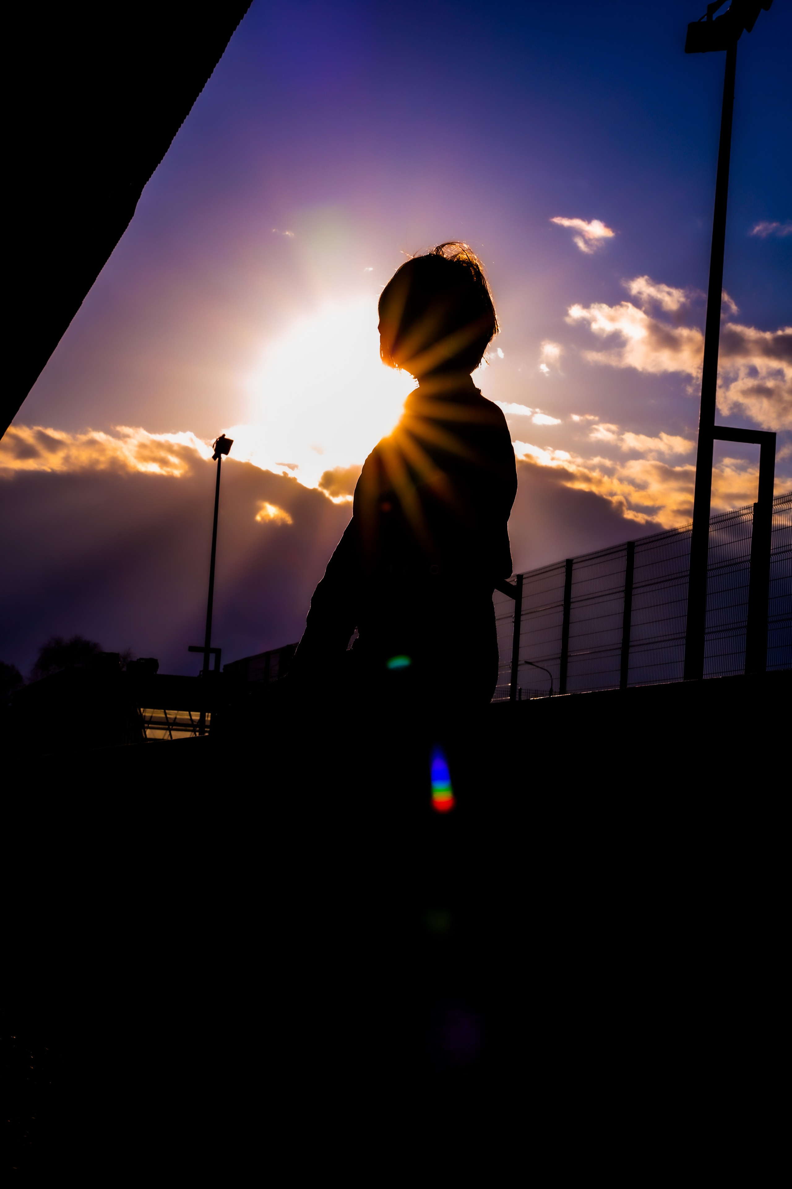 Twilight forest. Portrait photographer based in Toronto — Blinova Mariia