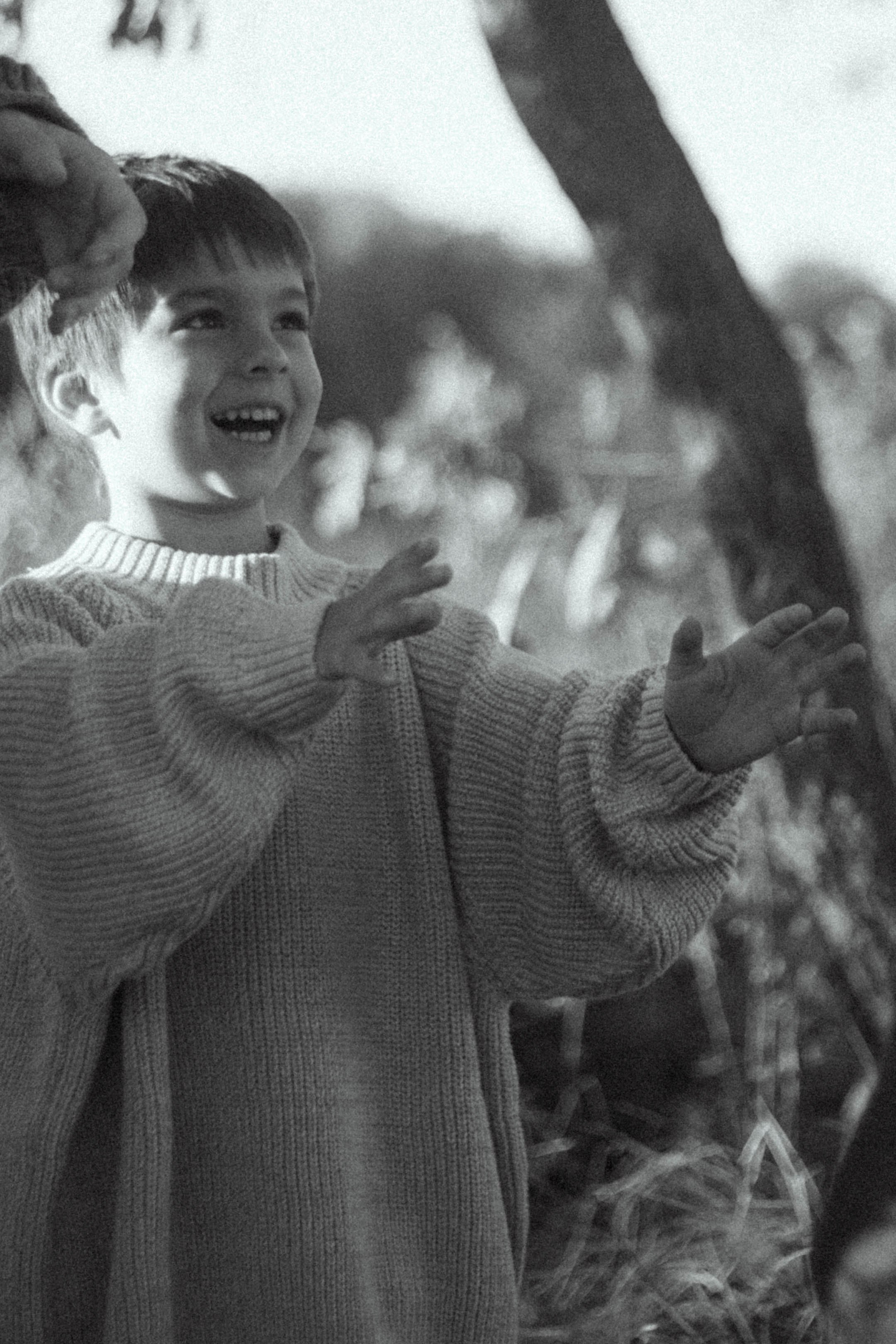 Оля, Саша, Демид, Елисей. Семейный фотограф Юлия Котова