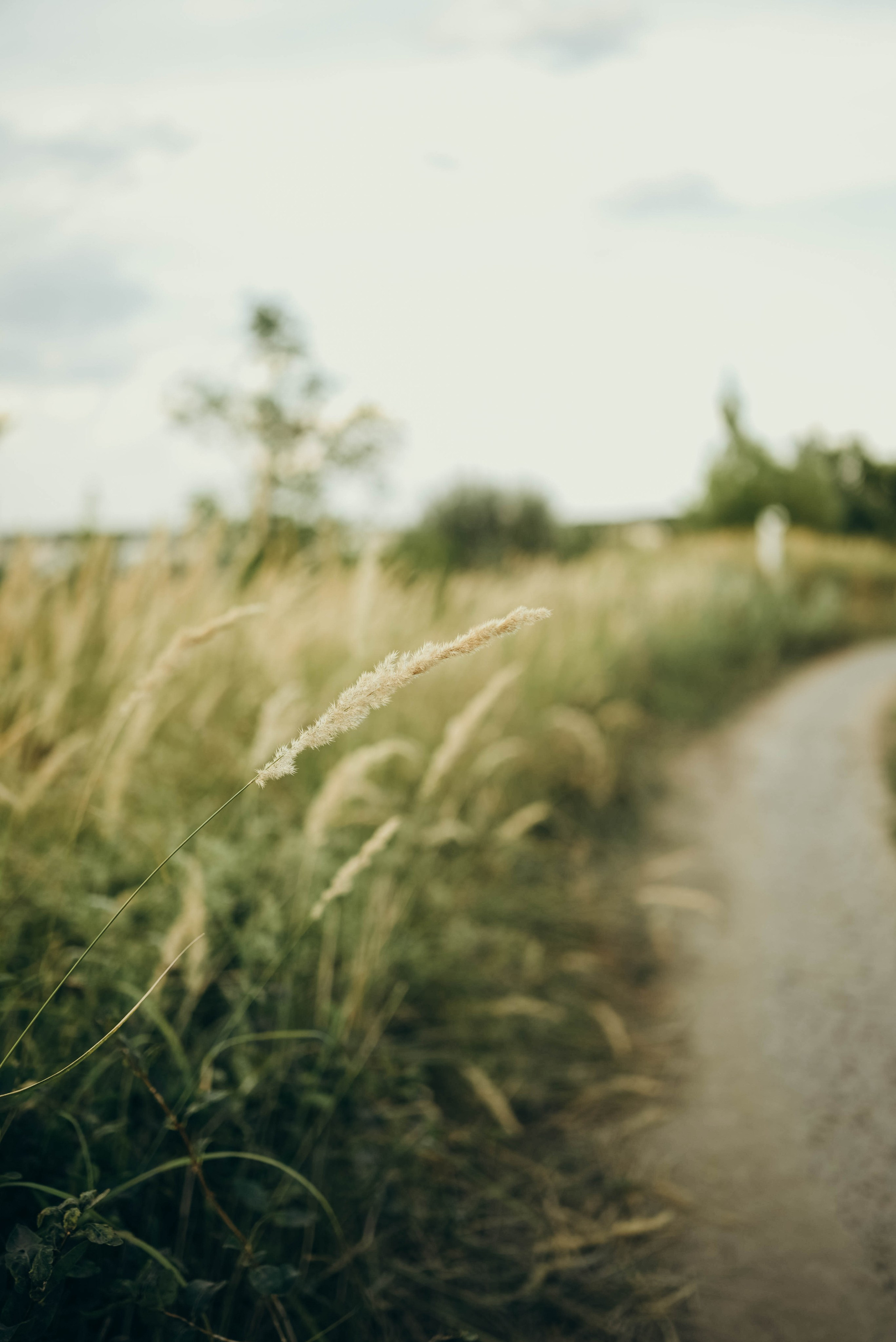 Белый колодец. Семейный фотограф в Москве Люберцах Ирина Вронская
