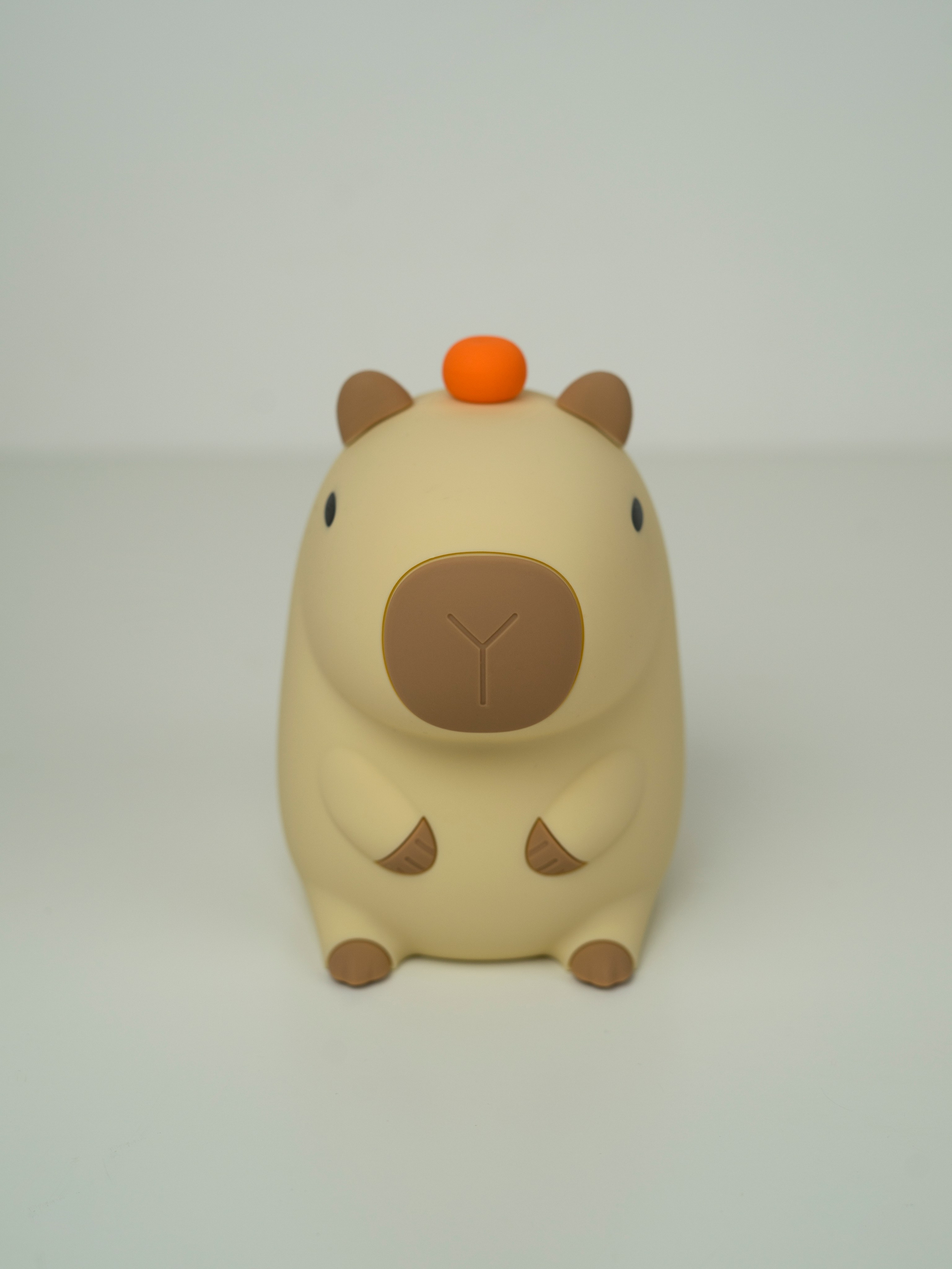 Ночник. Концептуальный фотограф Шлыкова Ольга