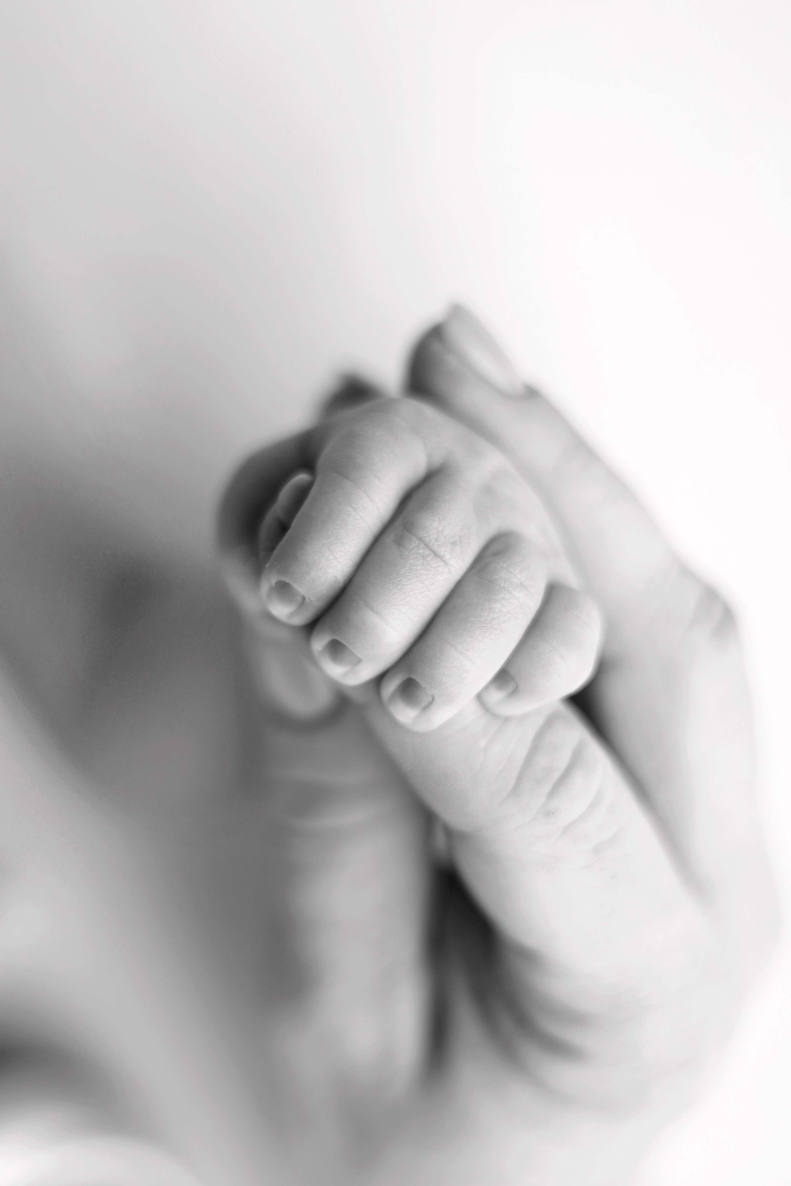 Фотосъемка новорожденного малыша. Фотограф в Москве Столярова Светлана. Фотограф новорожденных Москва. Ньюборн фотограф Москва