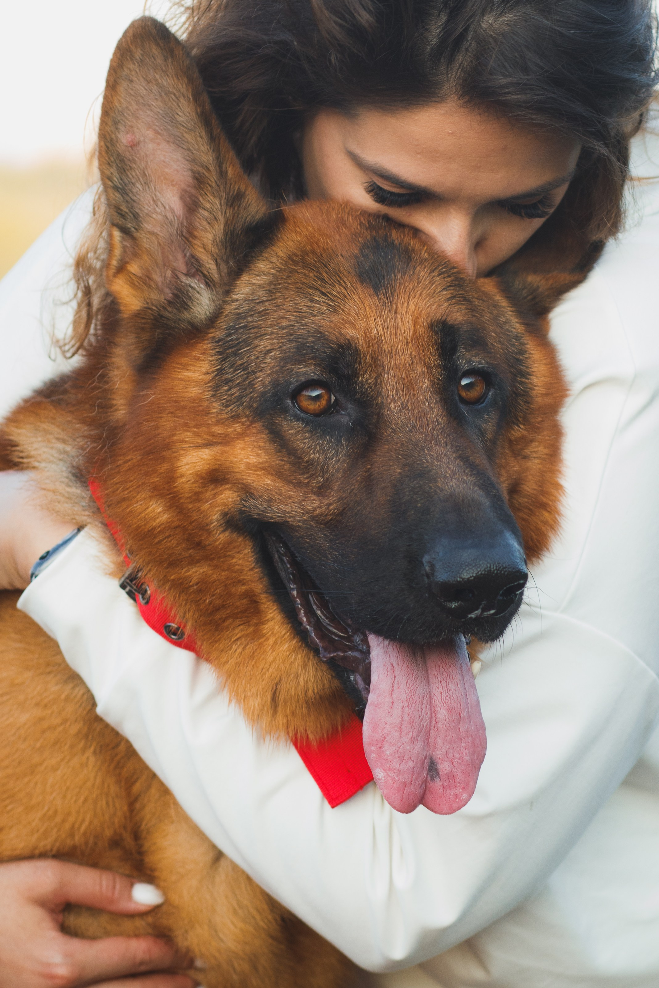 Фотопрогулка молодой девушки и ее собаки летним утром в парке. Семейный и школьный фотограф в Москве Анна Ткач