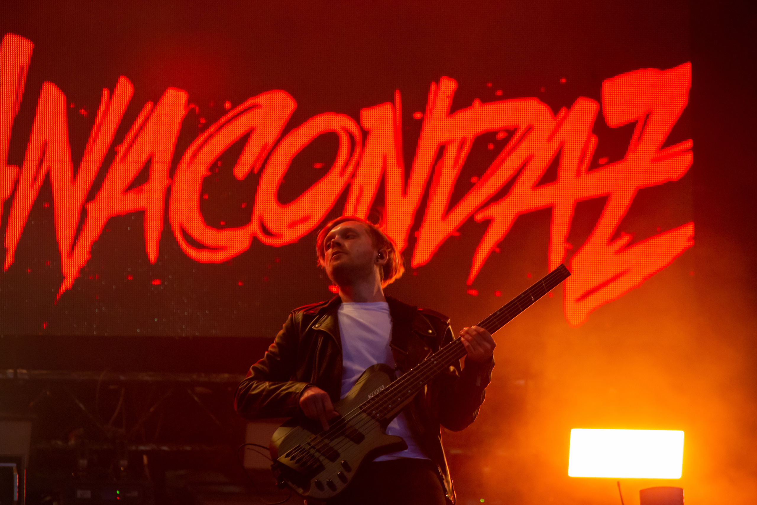 Группа ANACONDAZ. Фотограф Сонкина Татьяна