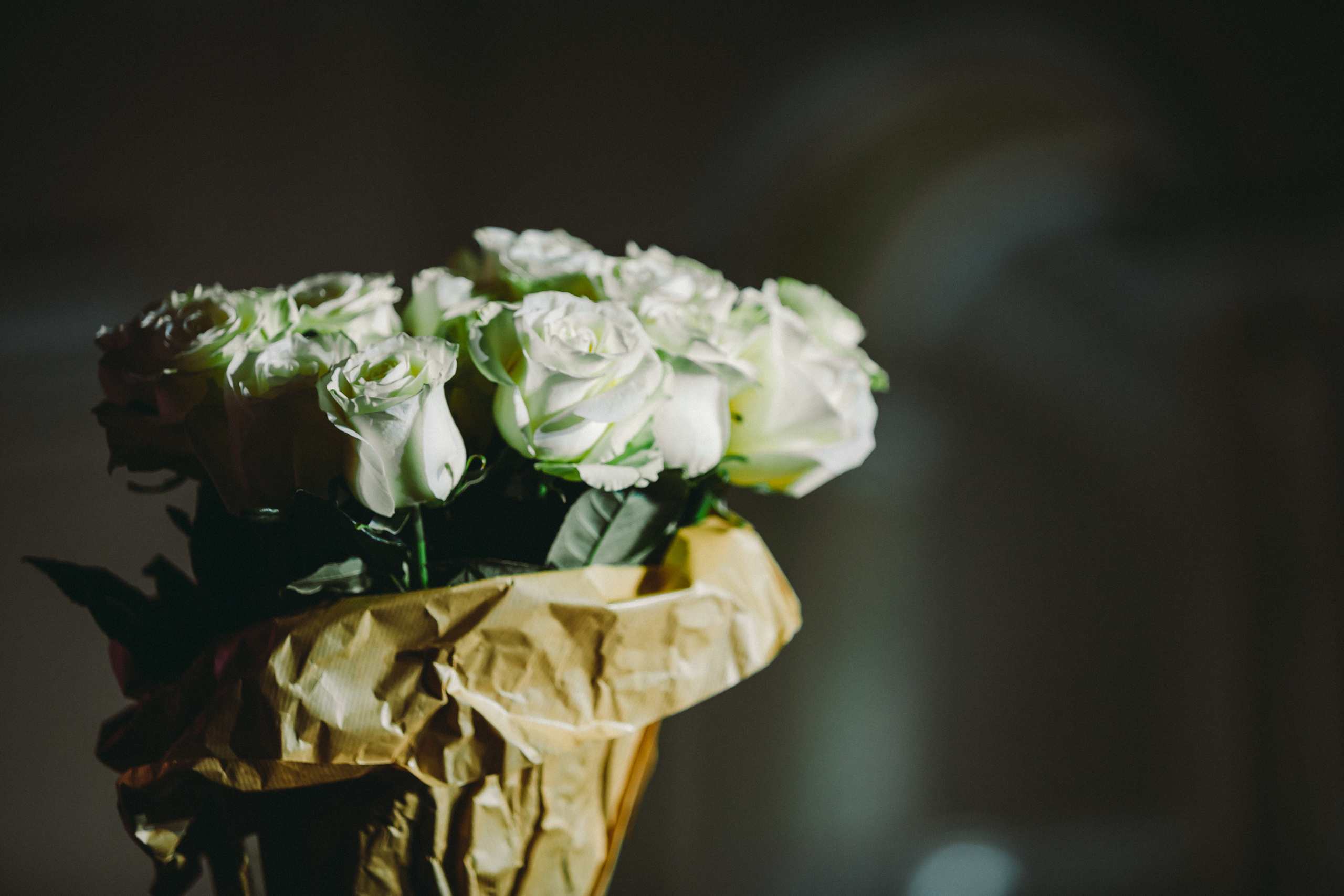 Александр Иванов и группа «Рондо». Фотограф Сонкина Татьяна