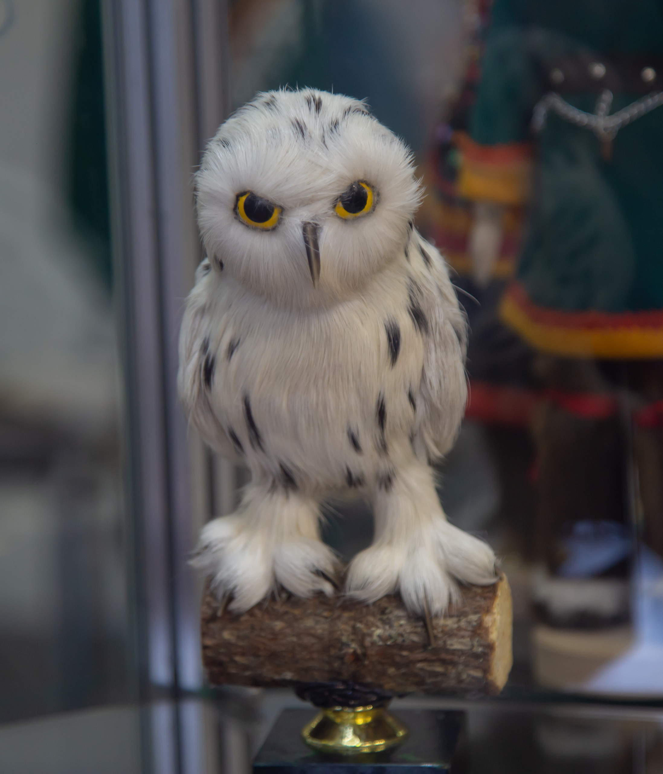 Сокровища Севера 2019. Фотограф Сонкина Татьяна