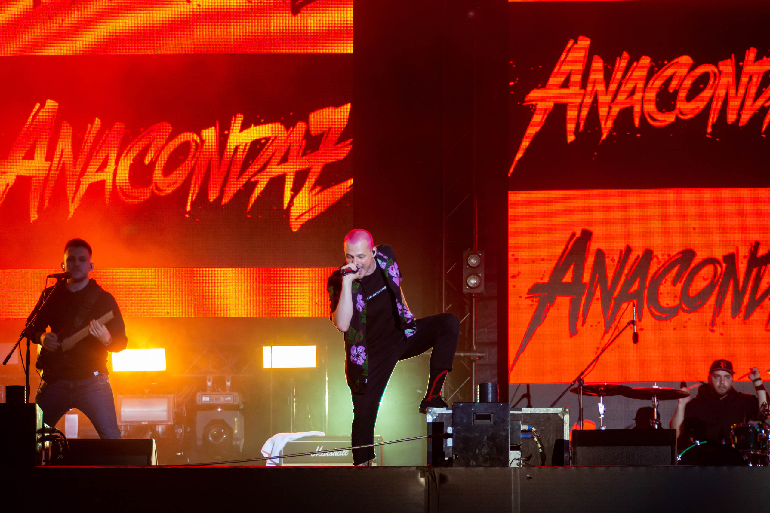 Группа ANACONDAZ. Фотограф Сонкина Татьяна