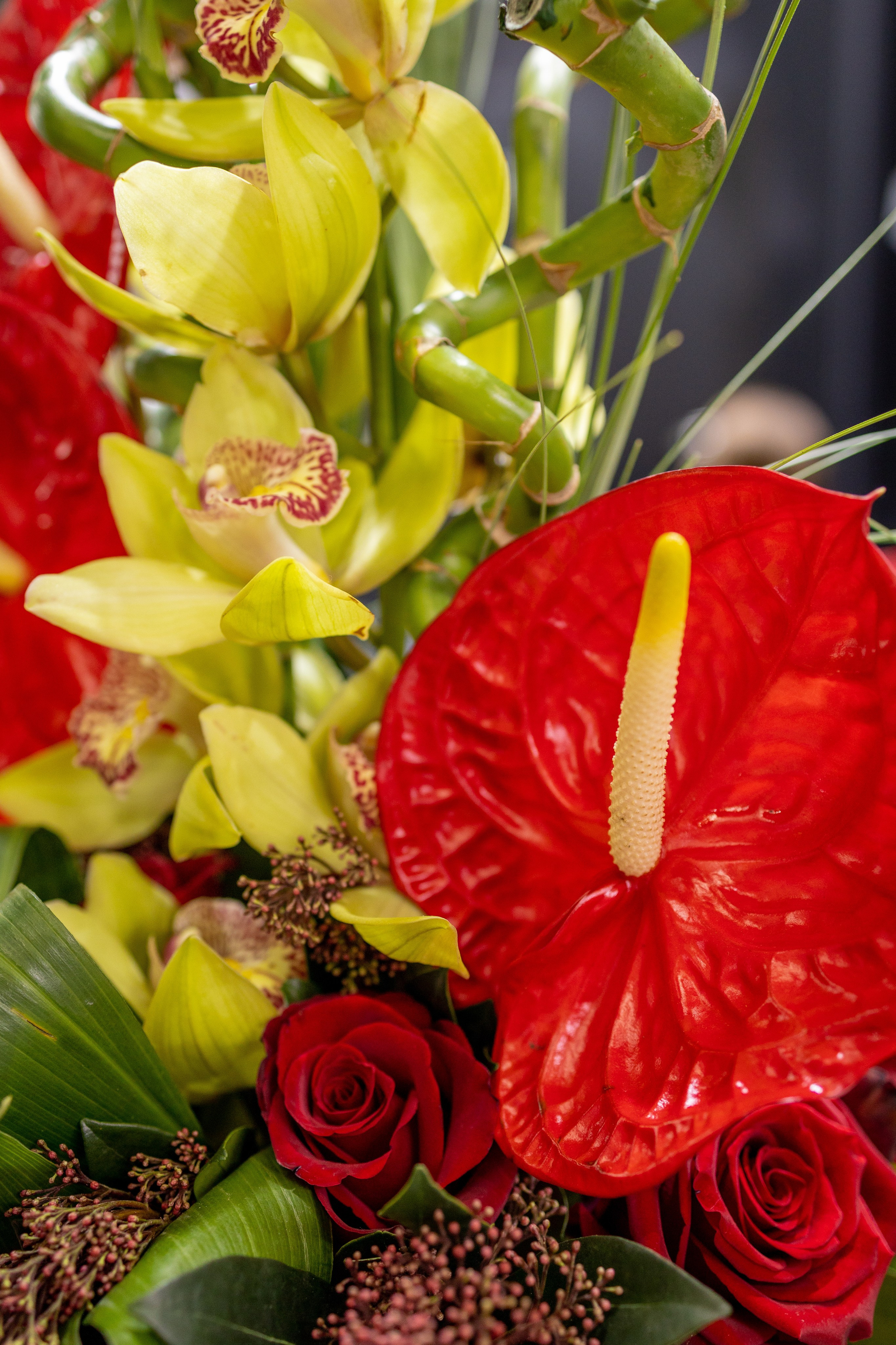 Цветы-Экспо 2025. Фотосессии и репортаж — Фотограф в Москве — Рина Серёгина