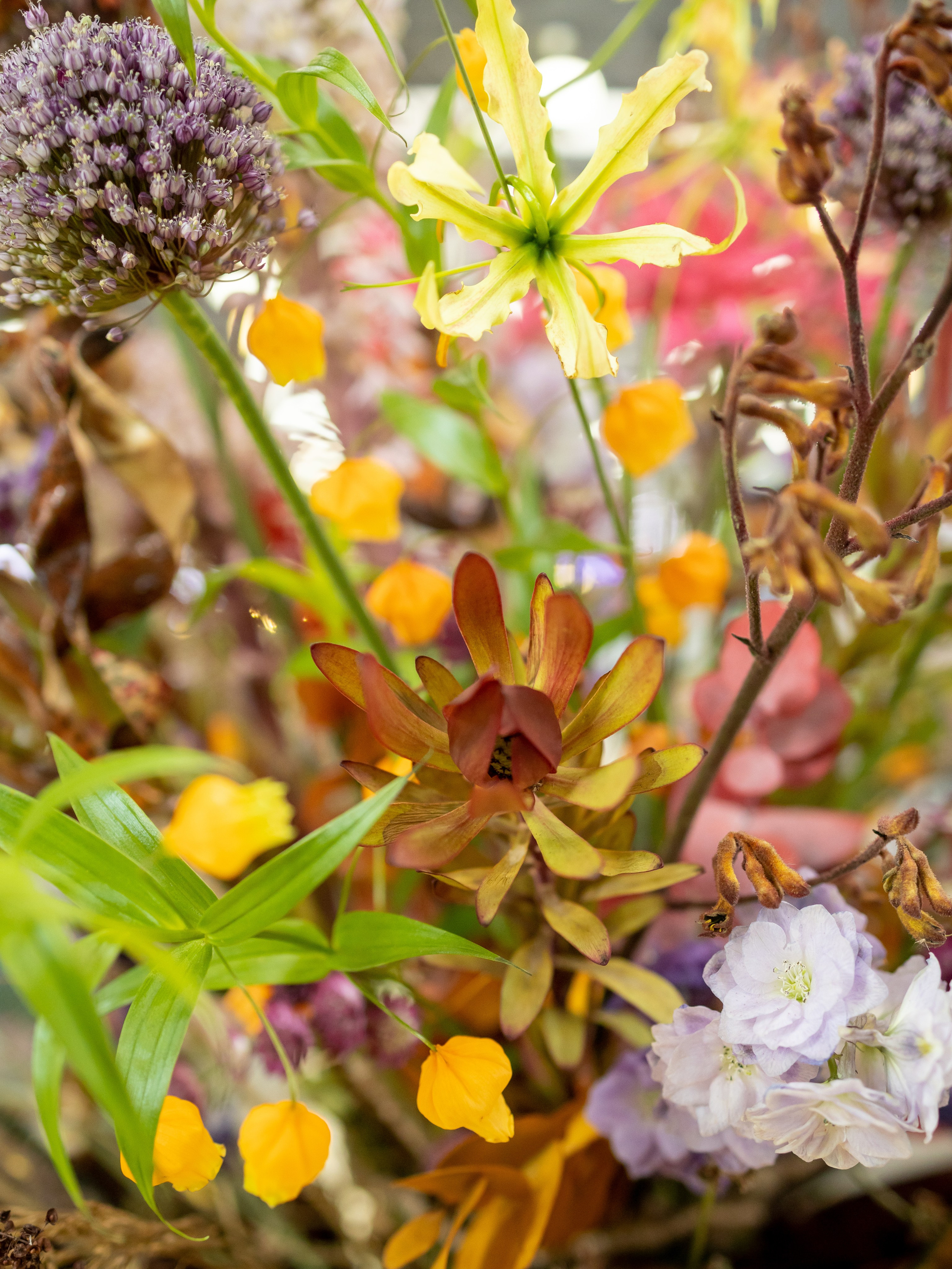 Цветы-Экспо 2024. Фотосессии и репортаж — Фотограф в Москве — Рина Серёгина