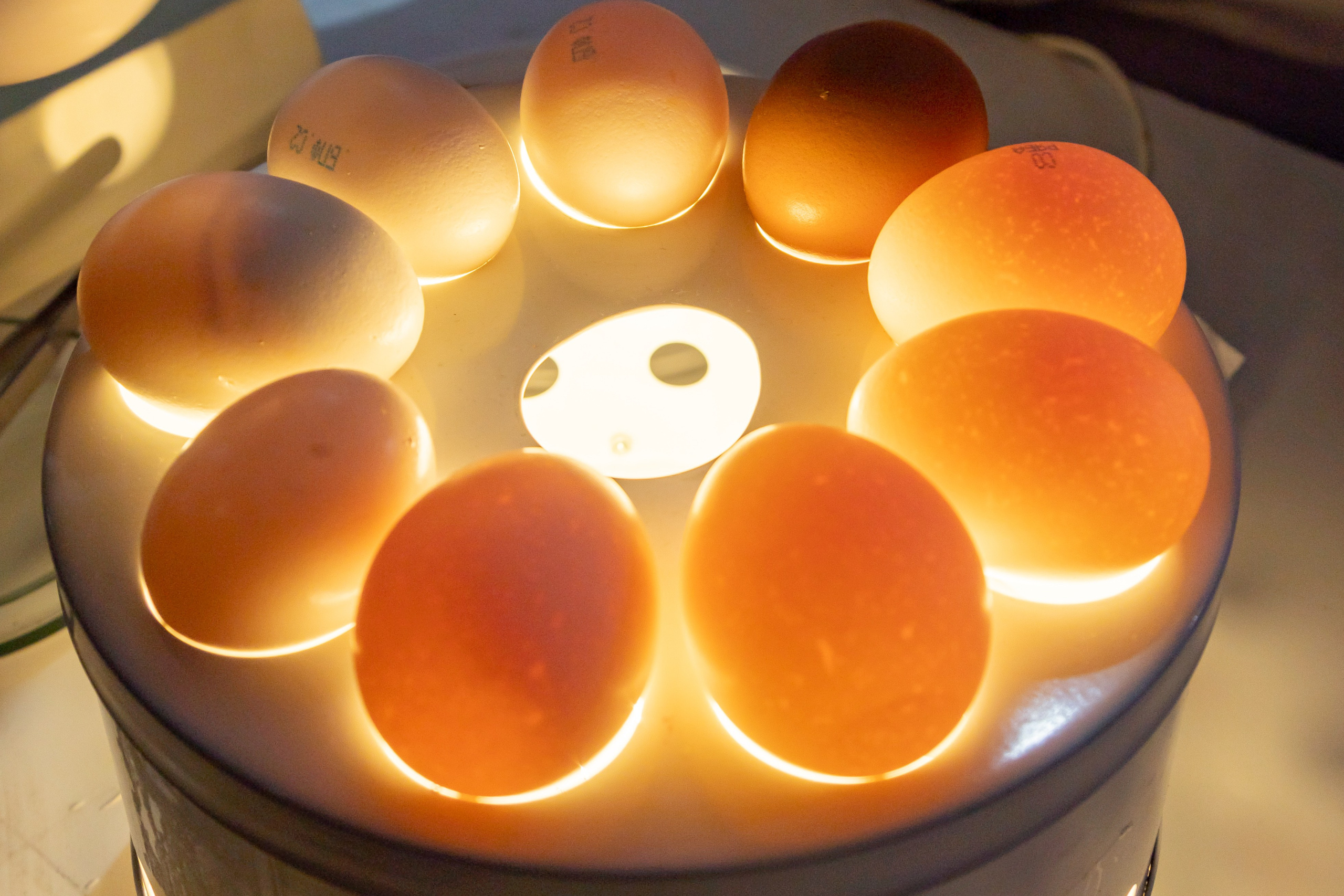 Фестиваль «Наука 0+». Фотосессии и репортаж — Фотограф в Москве — Рина Серёгина