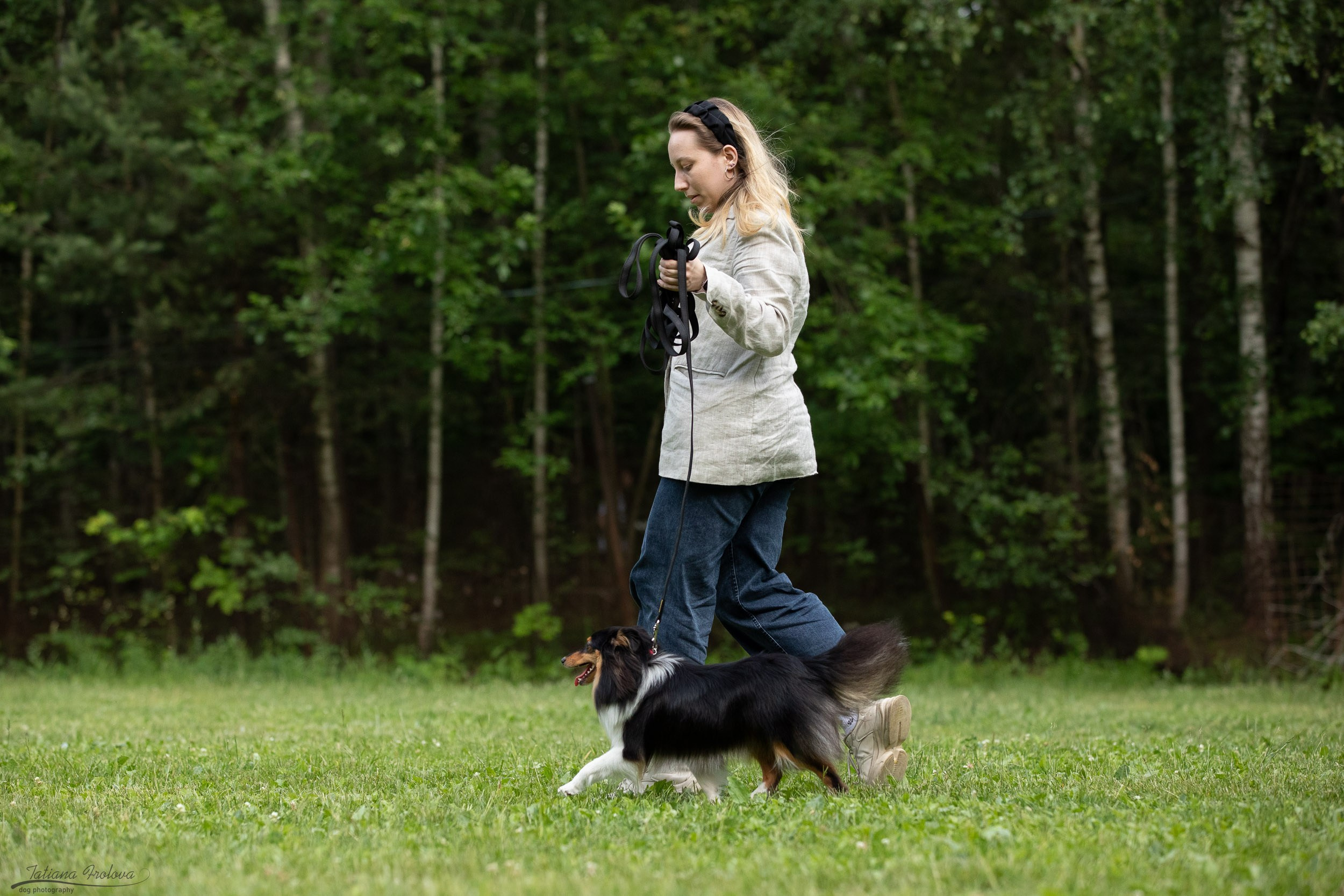 Репортаж с выводки молодняка колли/шелти в Ясенево. Фотограф-анималист в Москве и Московской области Татьяна Фролова