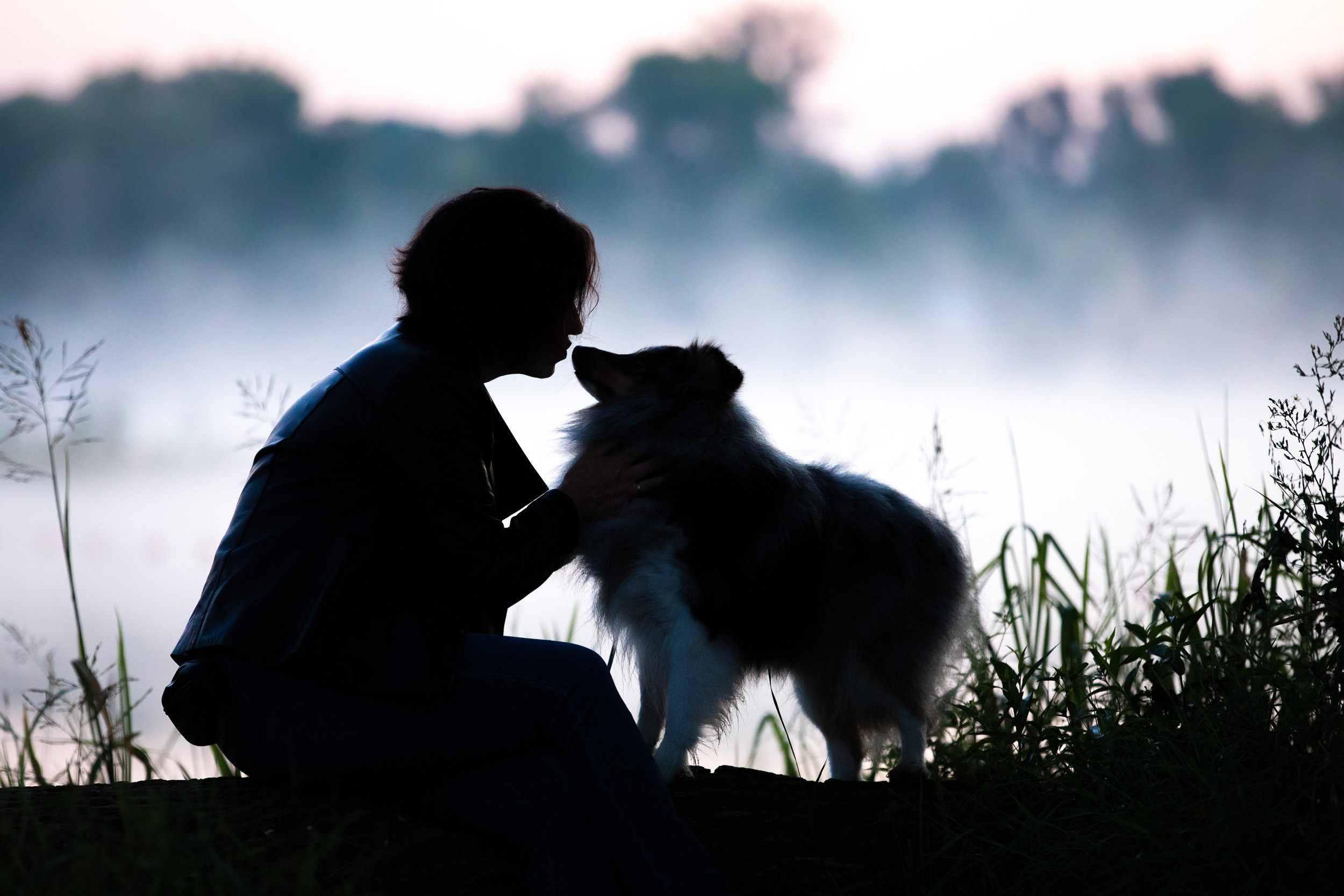 Анонс рассветной съемки с собаками на озере. Фотограф-анималист в Москве и Московской области Татьяна Фролова