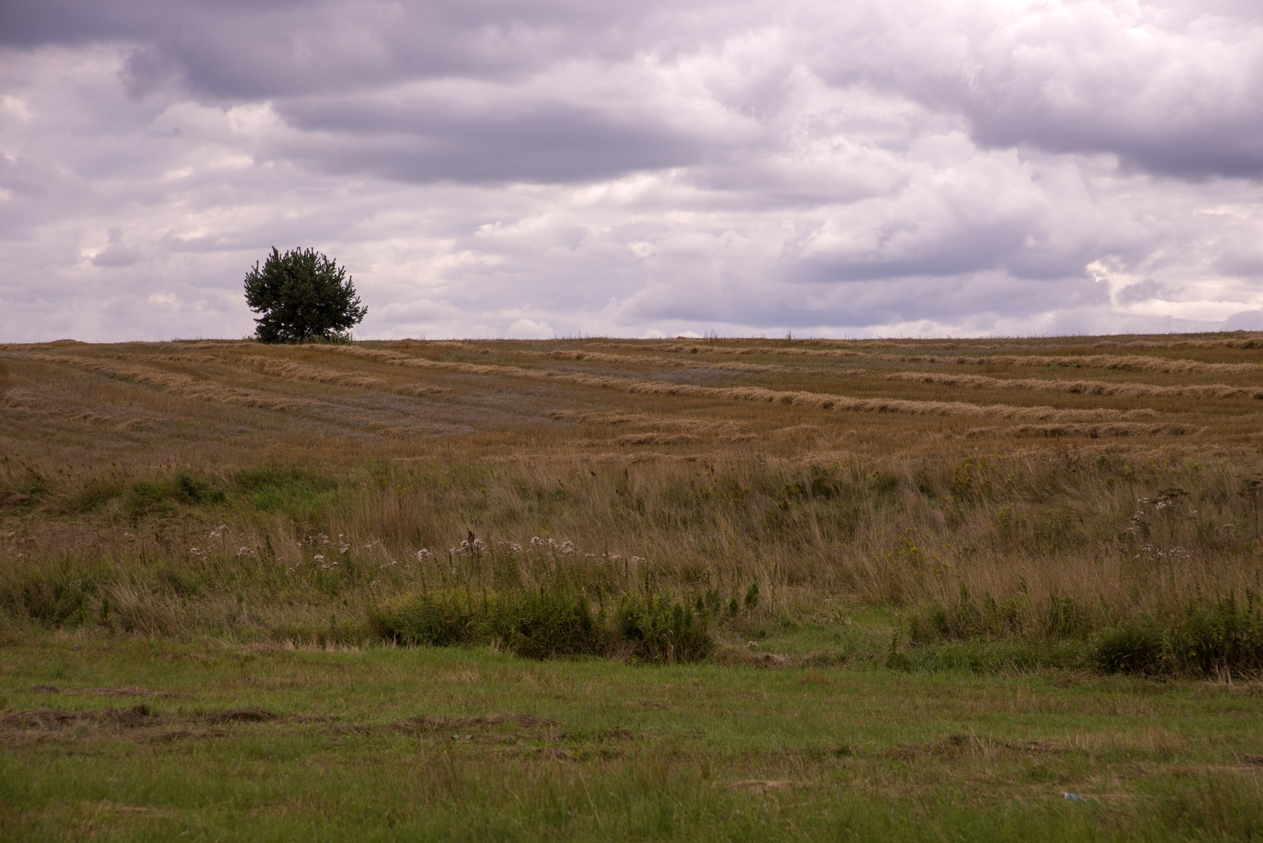 Кидекша. Август 2020. Игорь Жучков. Россия увиденная глазами путешествующего фотографа