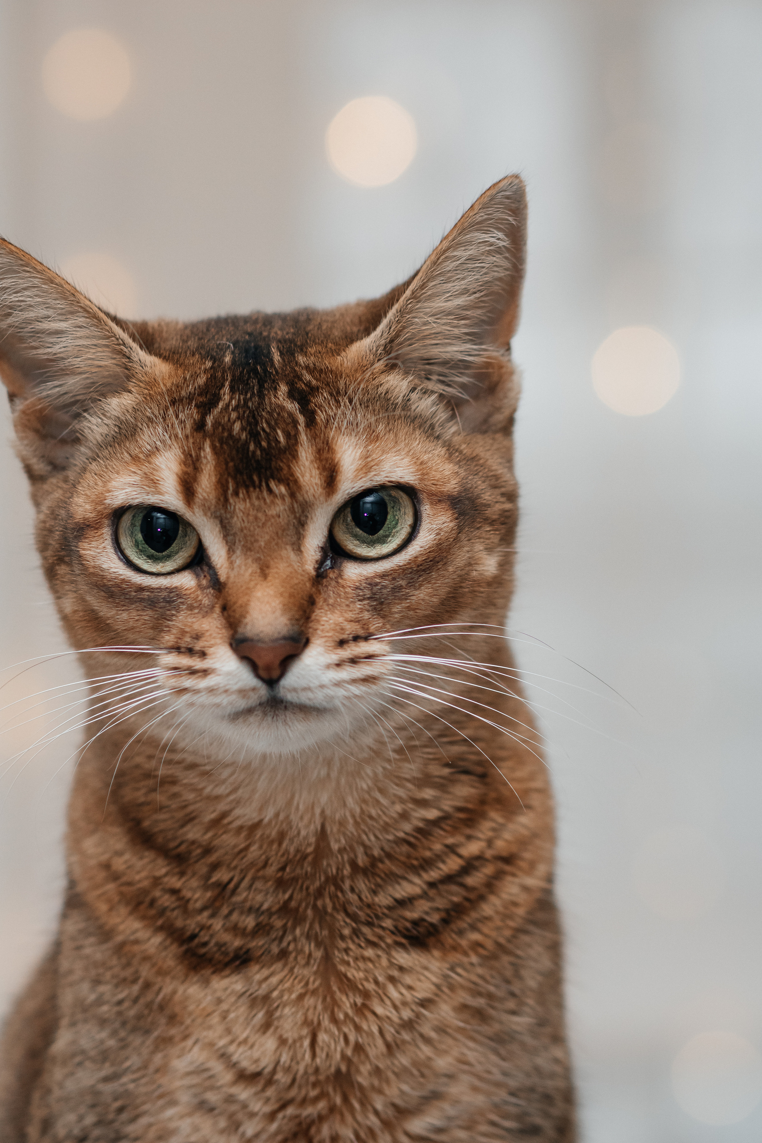Один день маленькой Алисы. Фотограф Солигорск