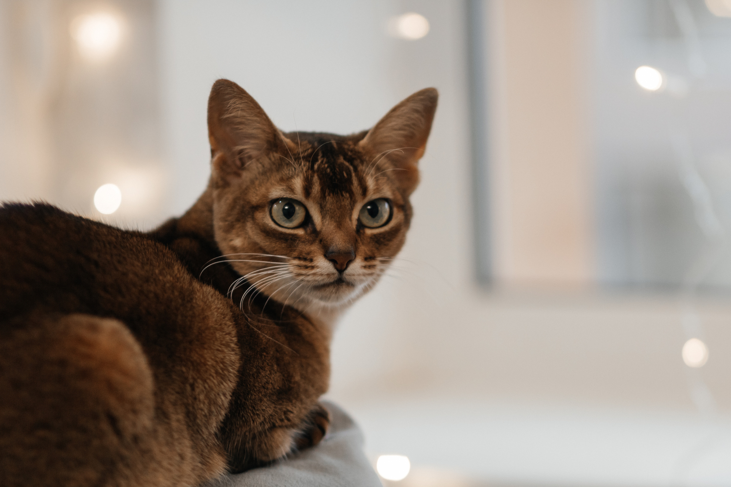 Один день маленькой Алисы. Фотограф Солигорск