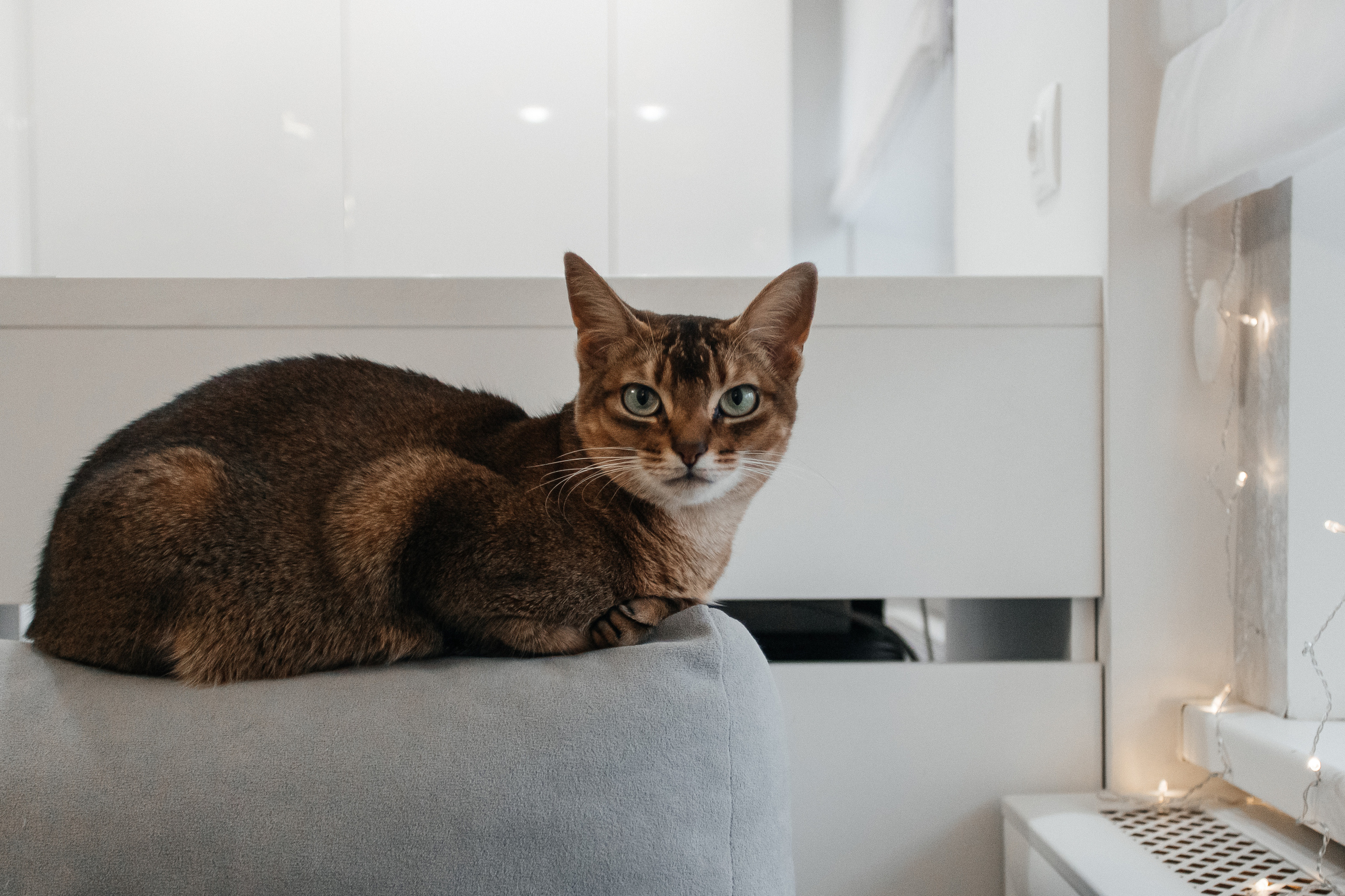 Один день маленькой Алисы. Фотограф Солигорск