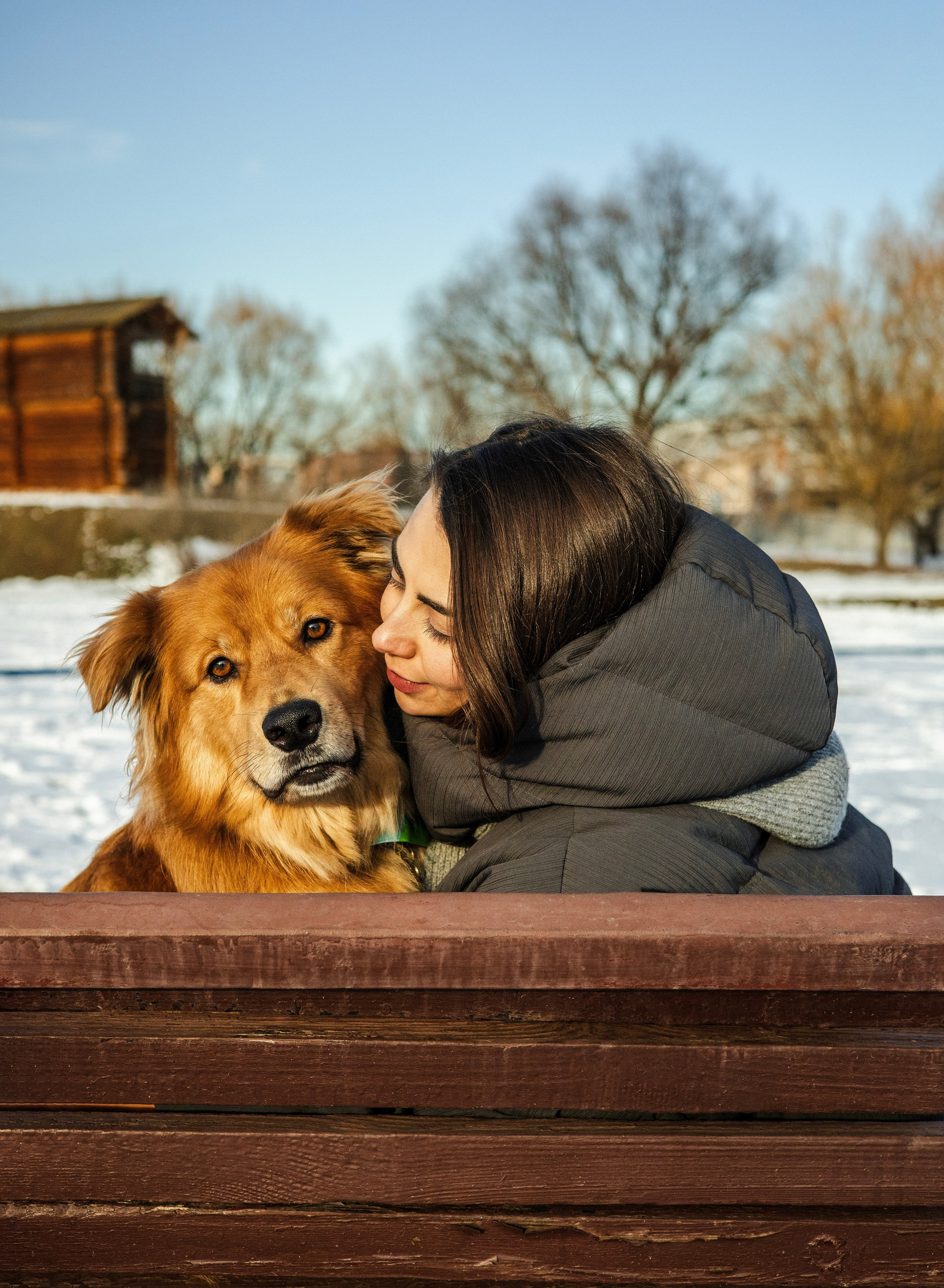 Рыж и Яна. Фотограф-анималист Ксения Шевцова|Москва
