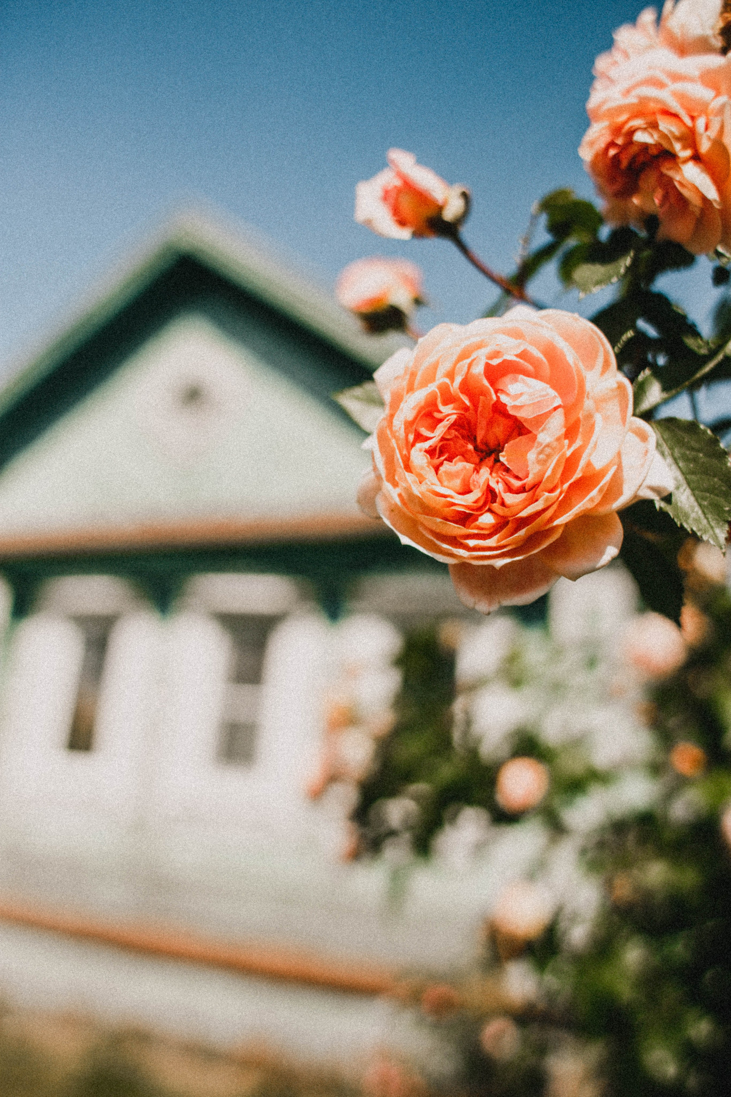 Анна + Антон. Яхта. Фотограф в Нижнем Новгороде