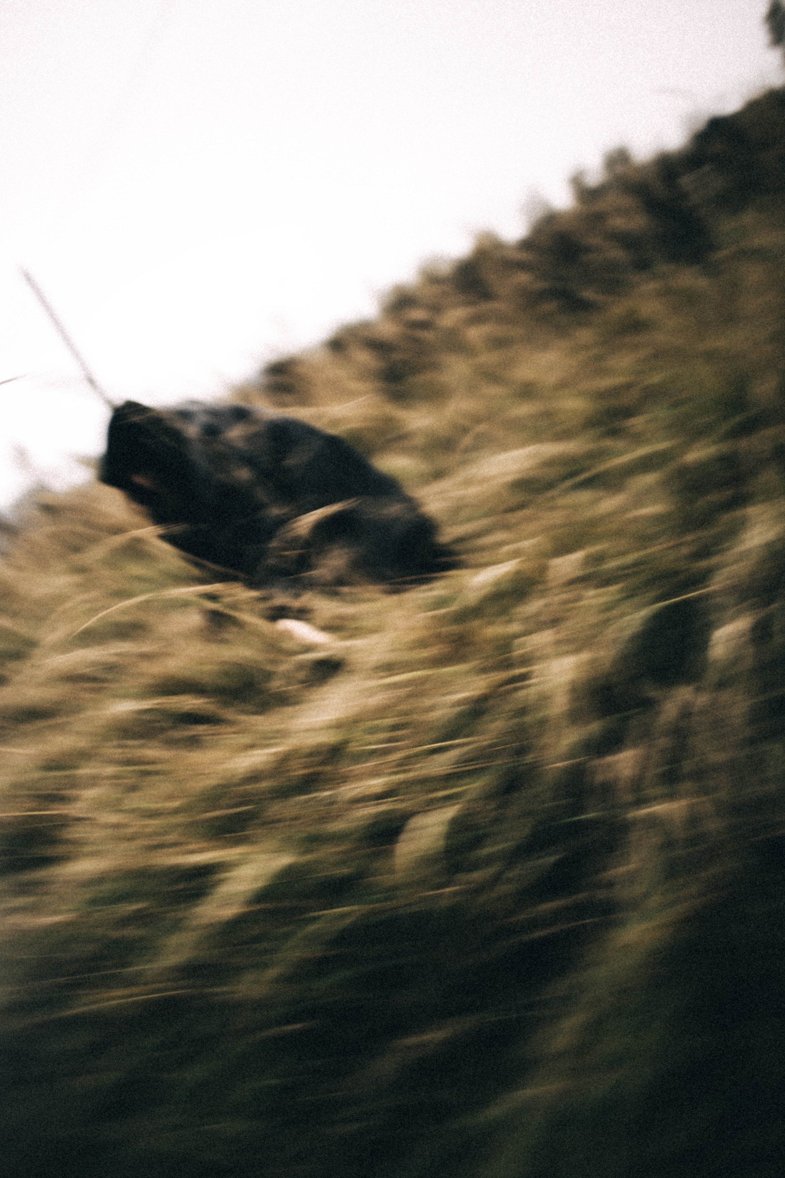 Хтонь дождливая. Фотограф в Нижнем Новгороде