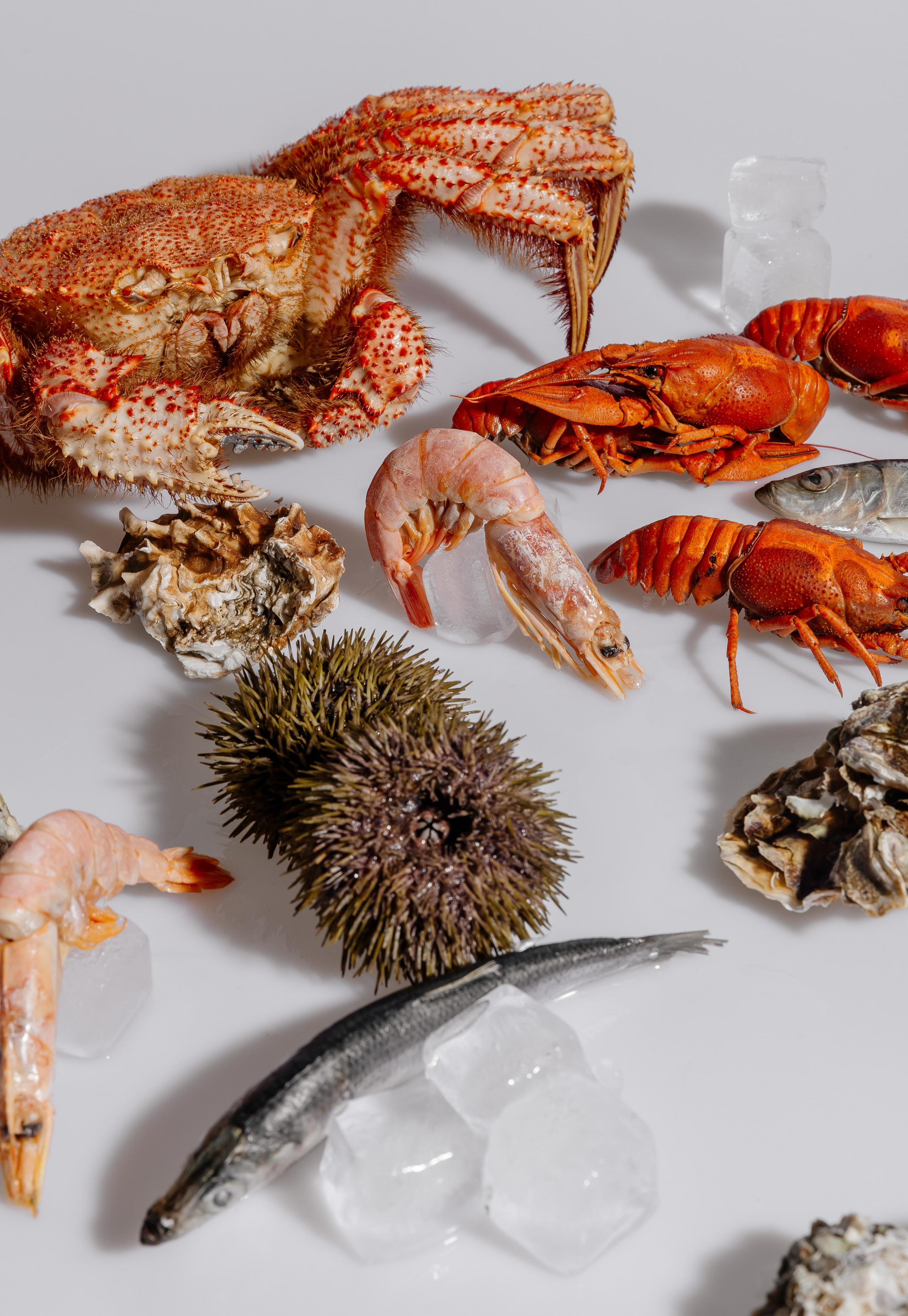 Splash.sea. Профессиональный фотограф Инесса Новикова в Москве