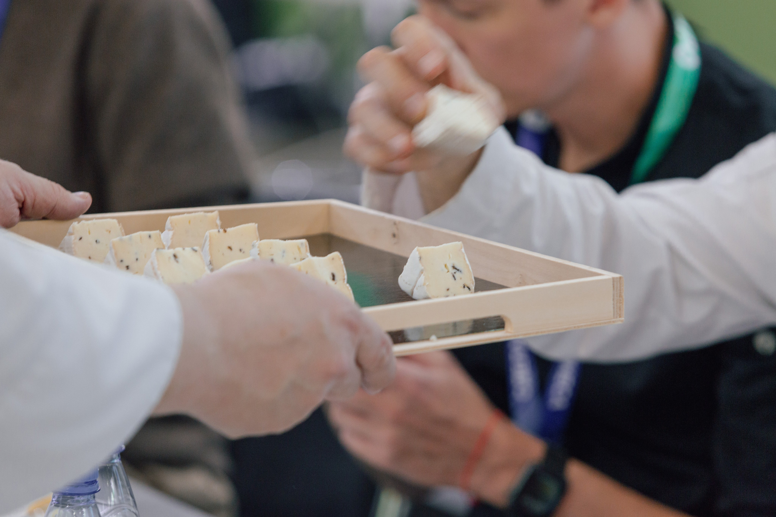 Cheese Expo 2025. Artur Photography