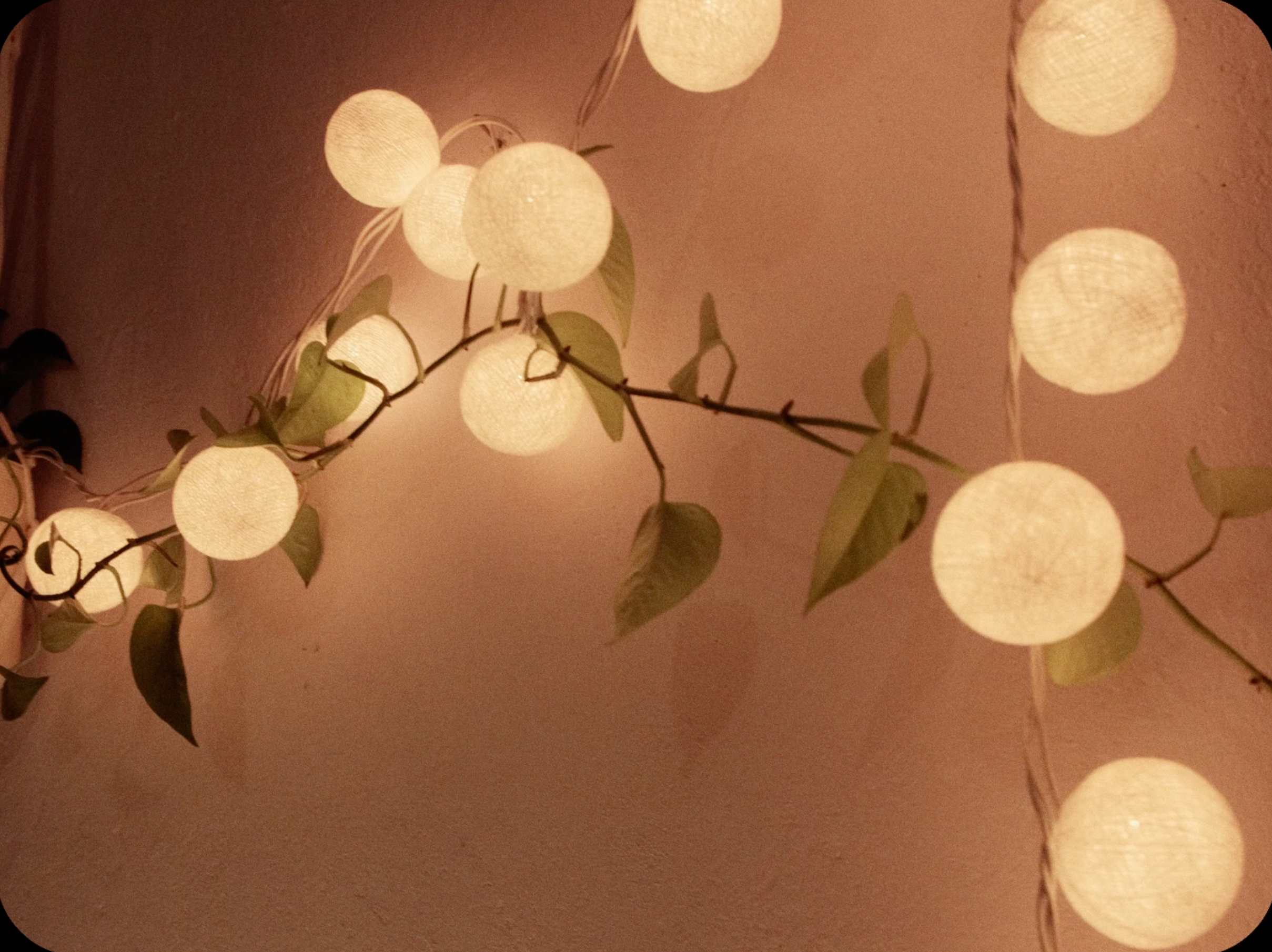 Hehehe — on the 8th floor (MV)