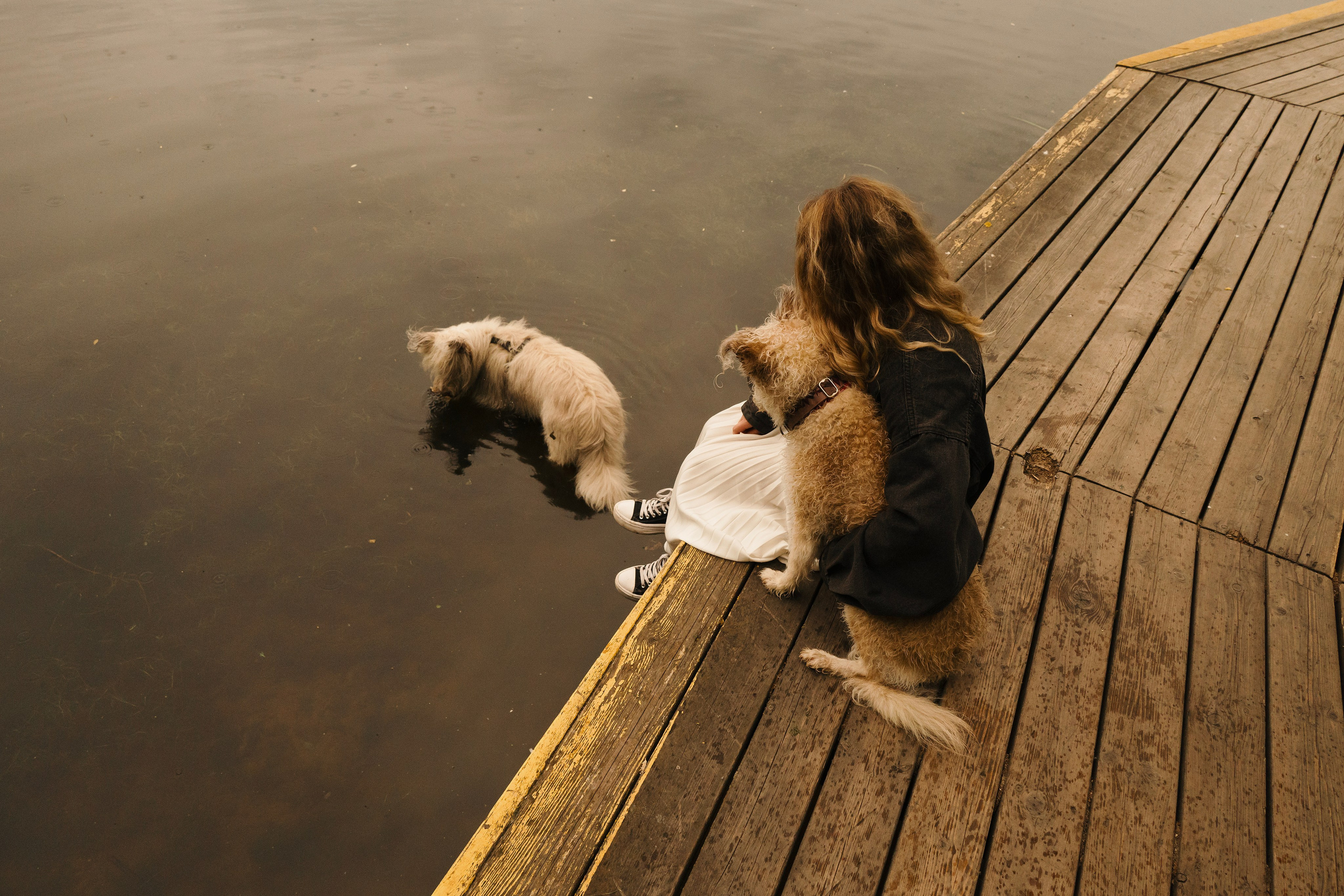 Акиро и Йоши. Фотограф- анималист Александра Матвеева