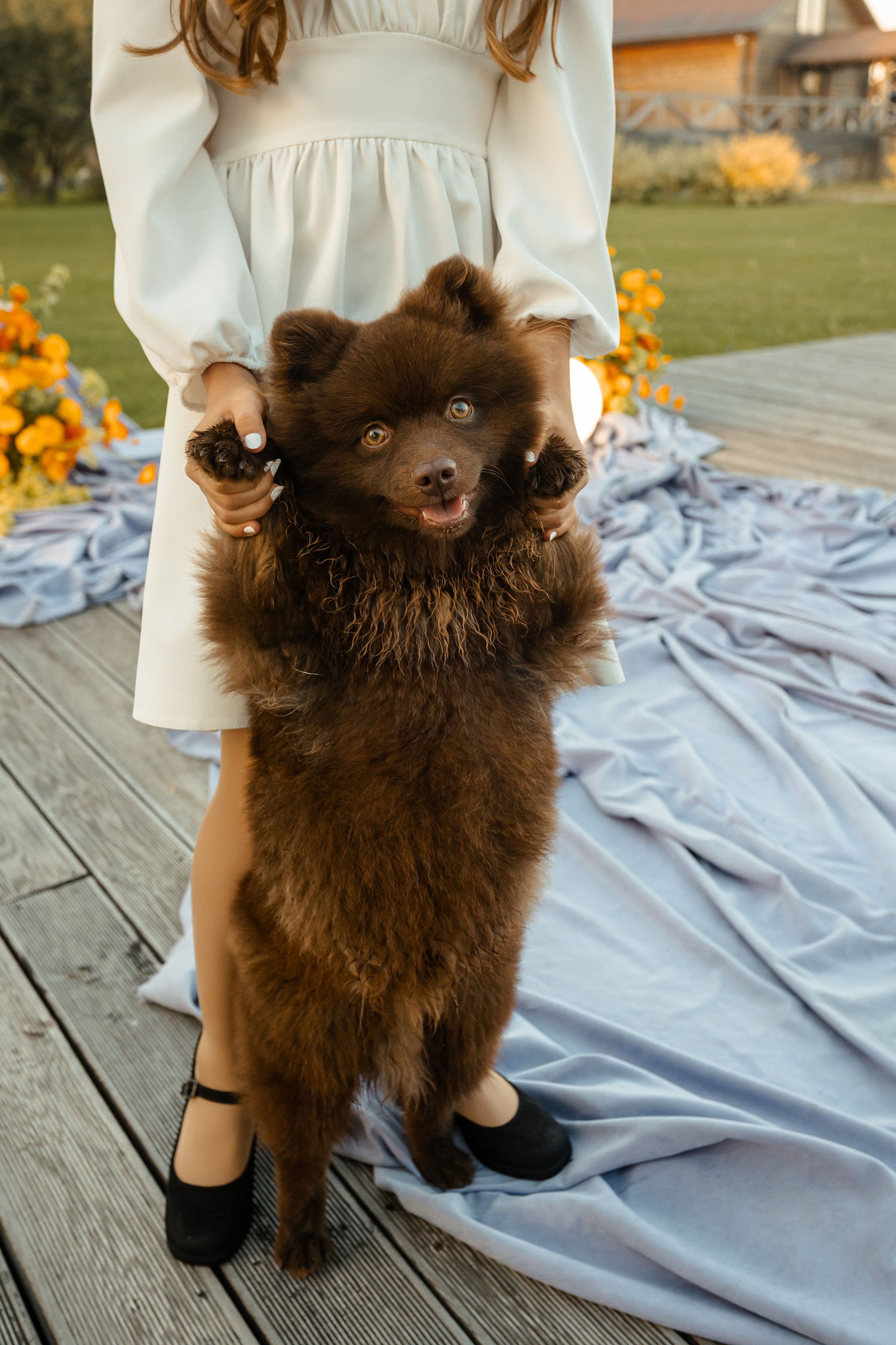 Влад и Катя. Фотограф Вячеслав Фарунин