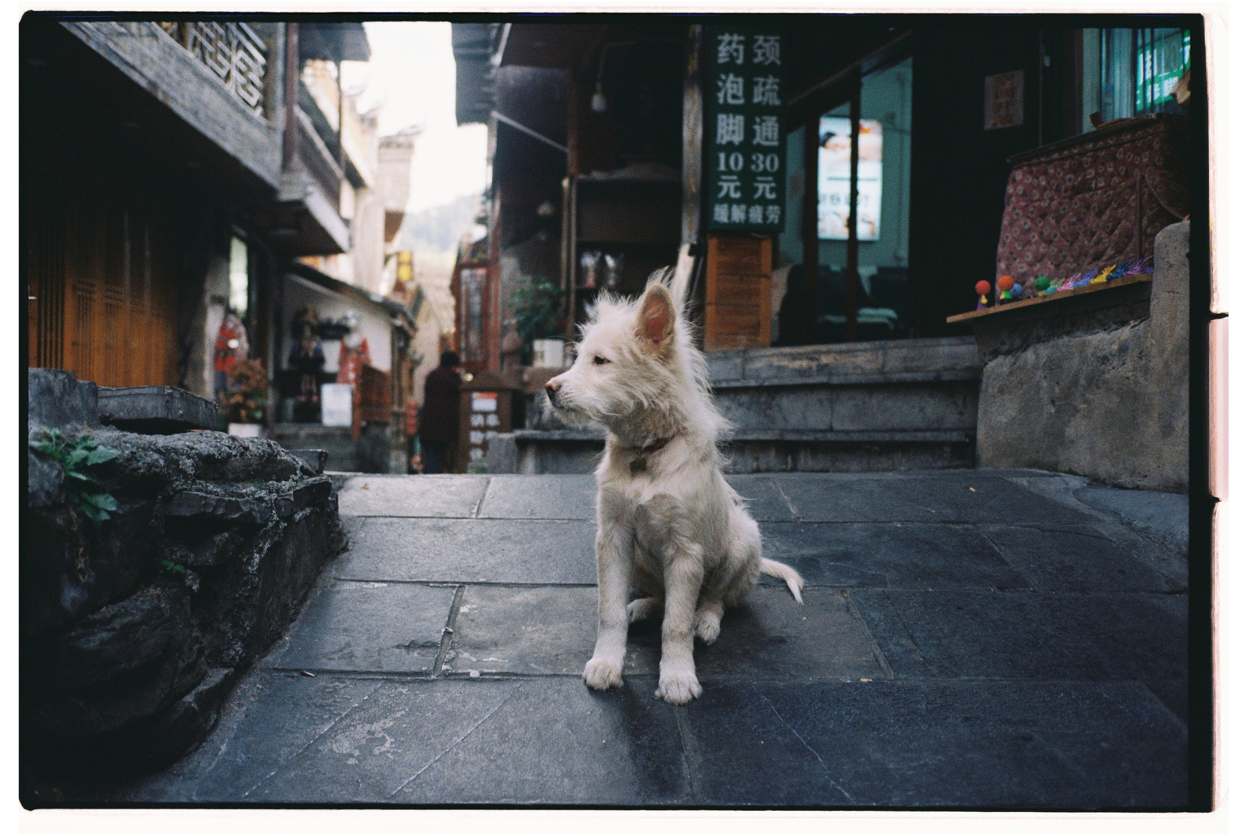China & Hong Kong. @tomrus: Рустам Шагиморданов — фотограф