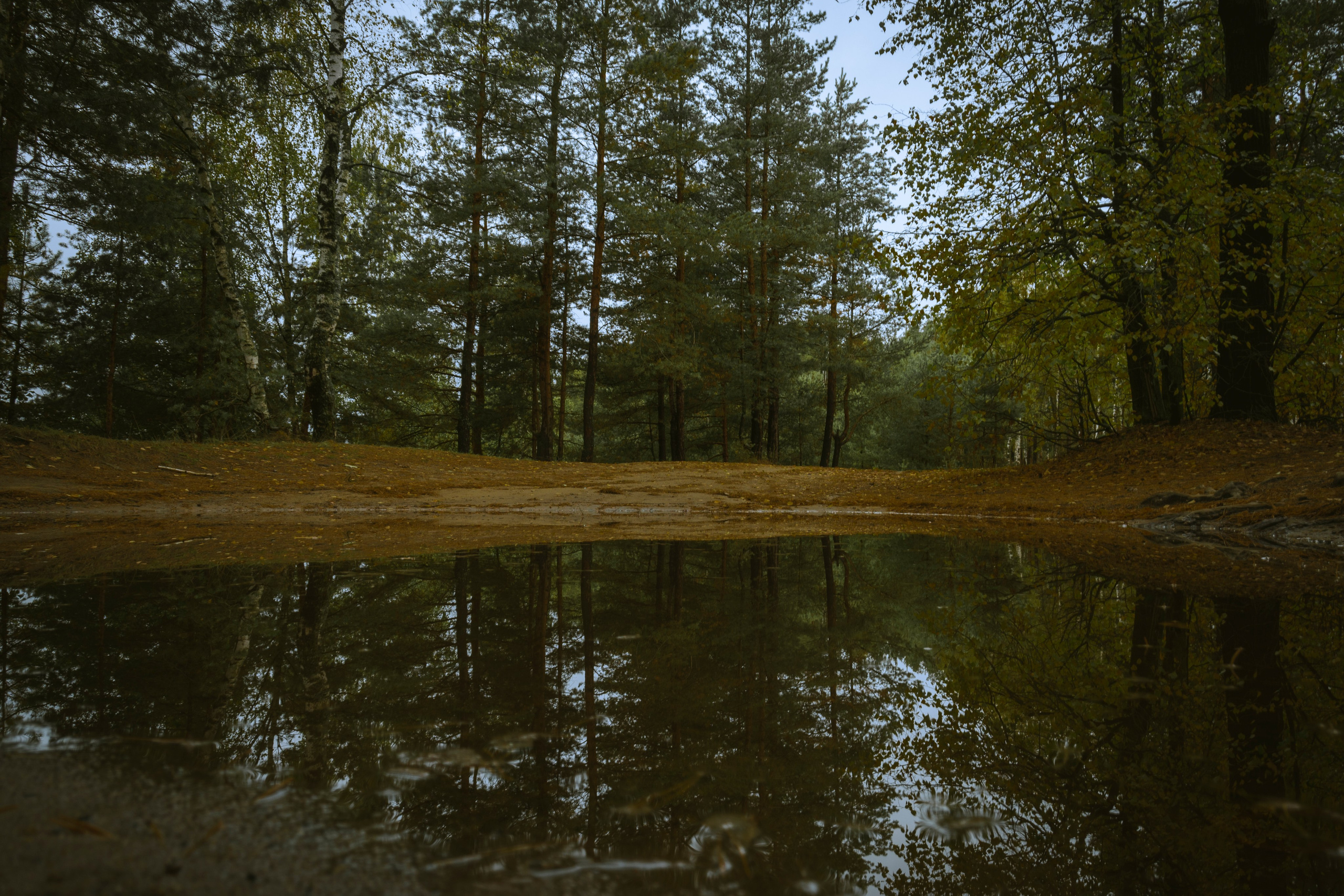 Фотопрогулка ДР. Фотограф Роман Адлер