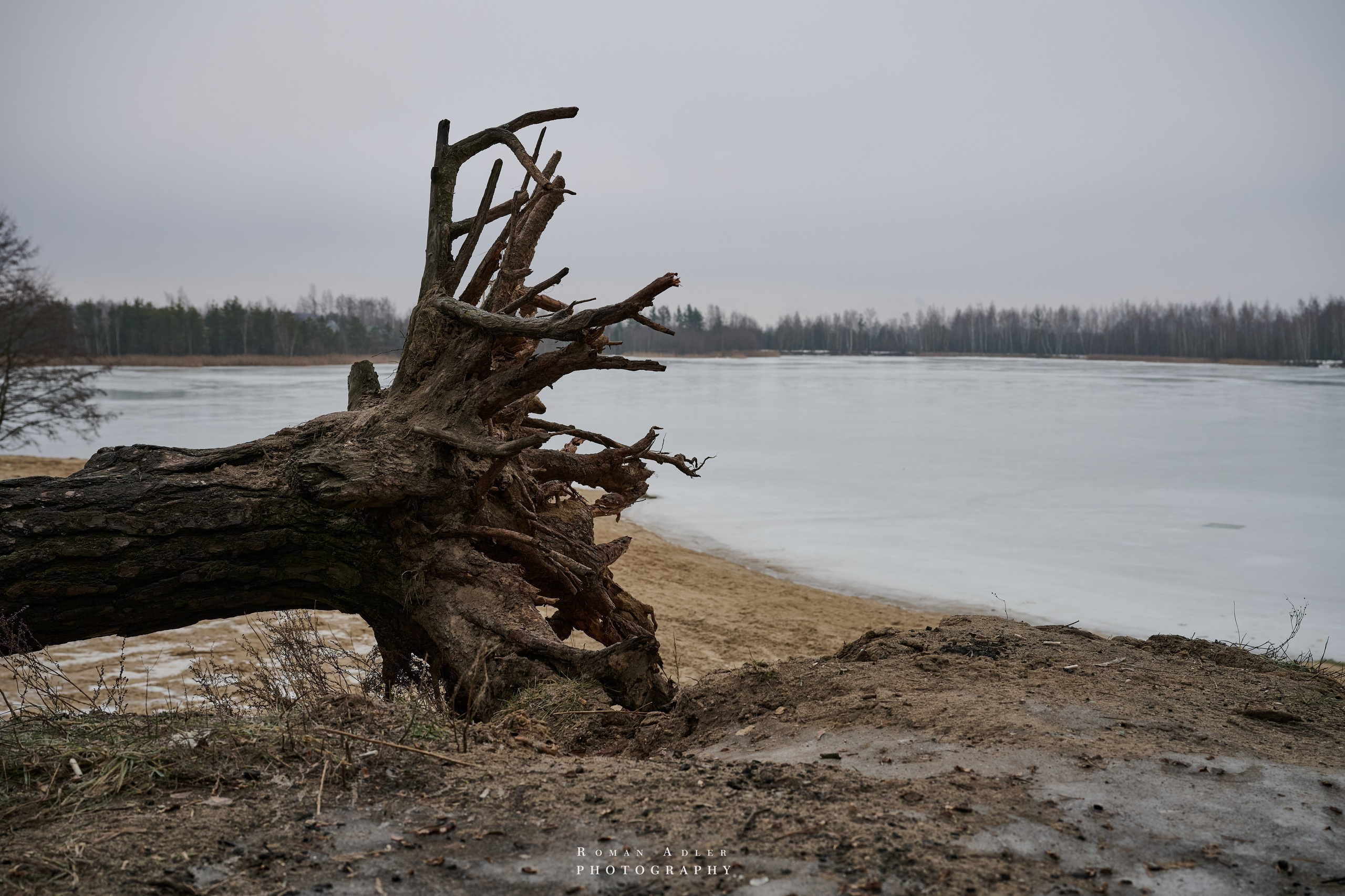 Место силы…. Фотограф Роман Адлер